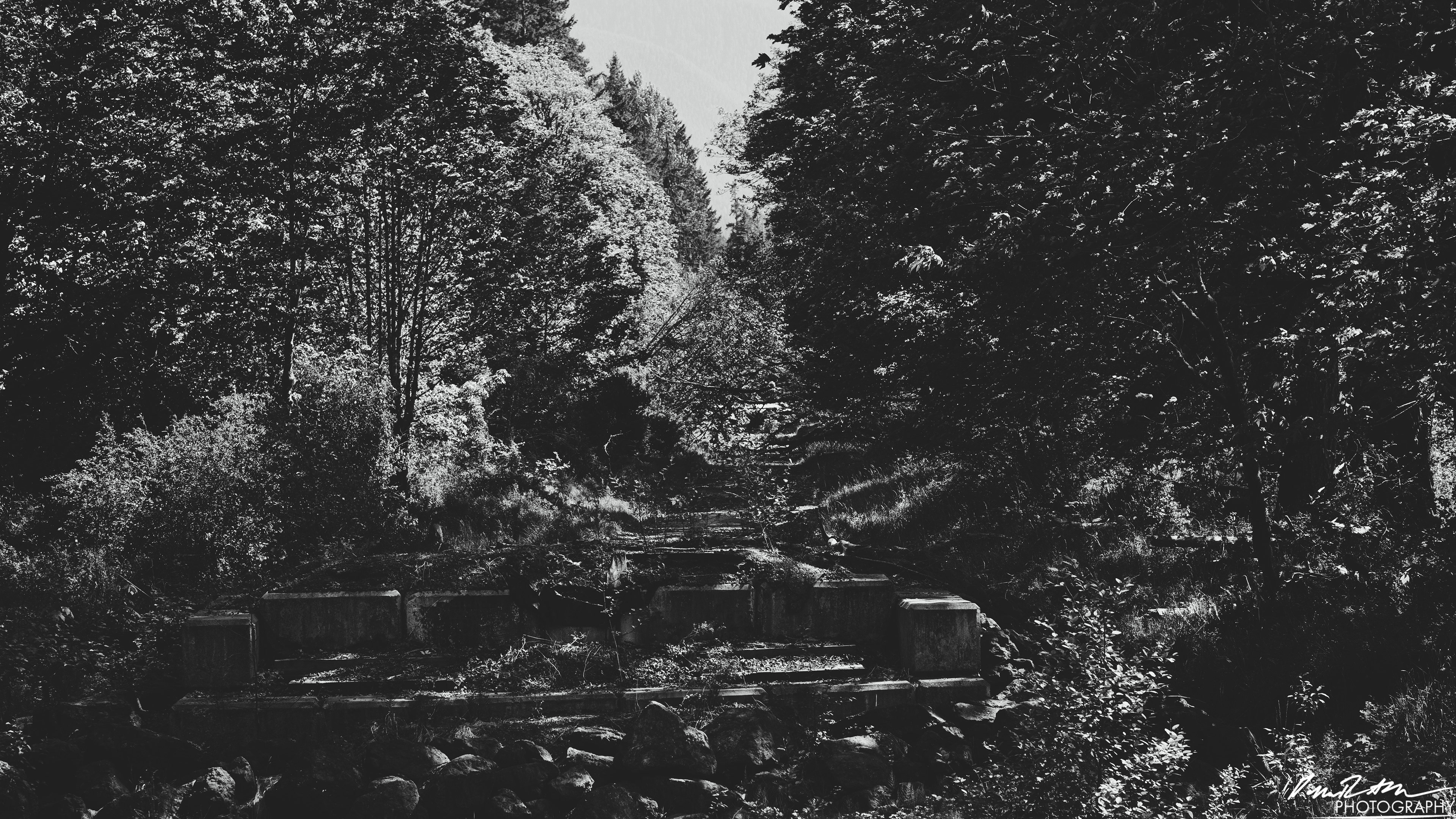 Hot Springs - Olympic National Park