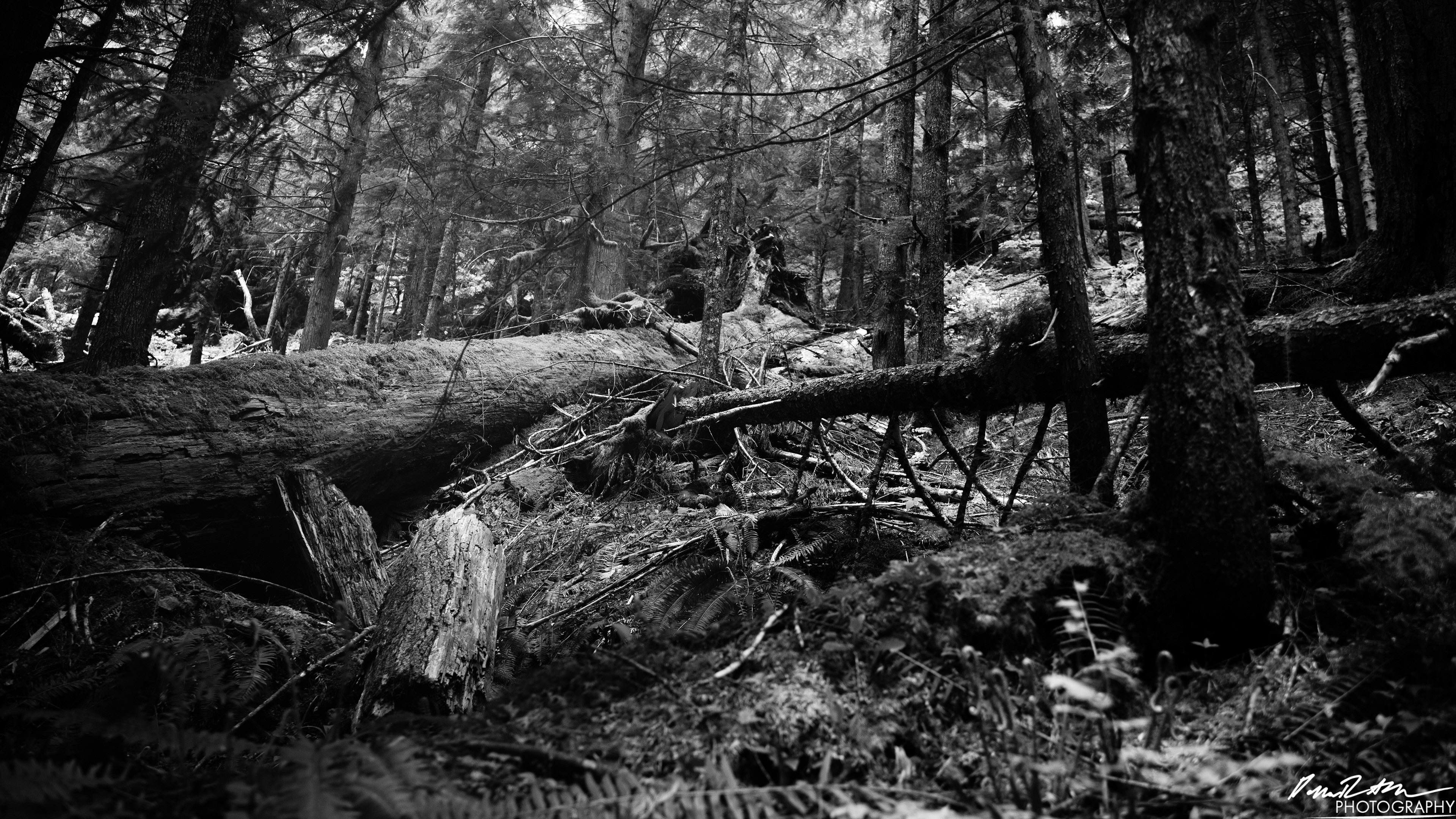Snow Melt - Lena Lake