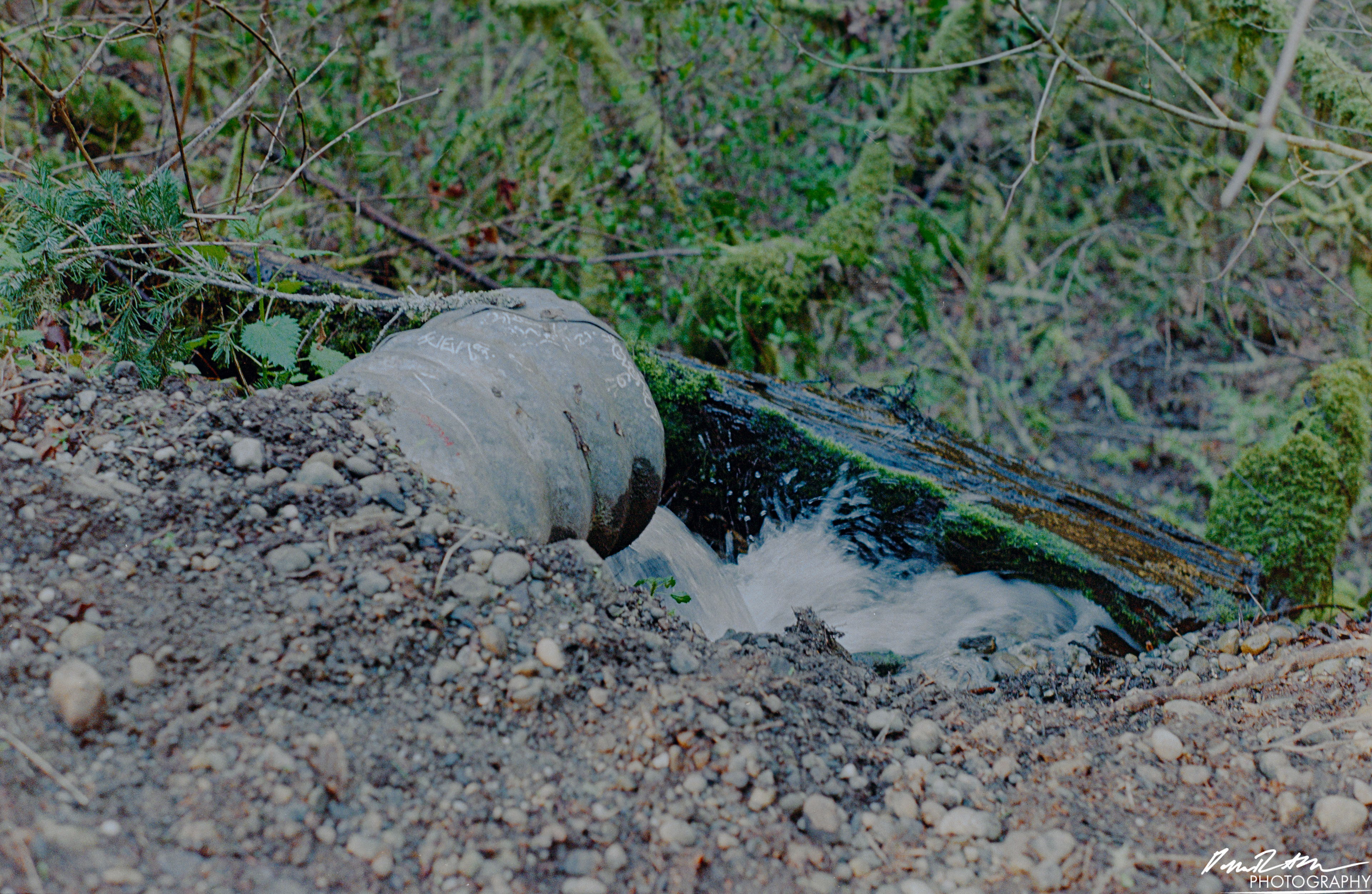 Fujifilm 400 - Dupont WA