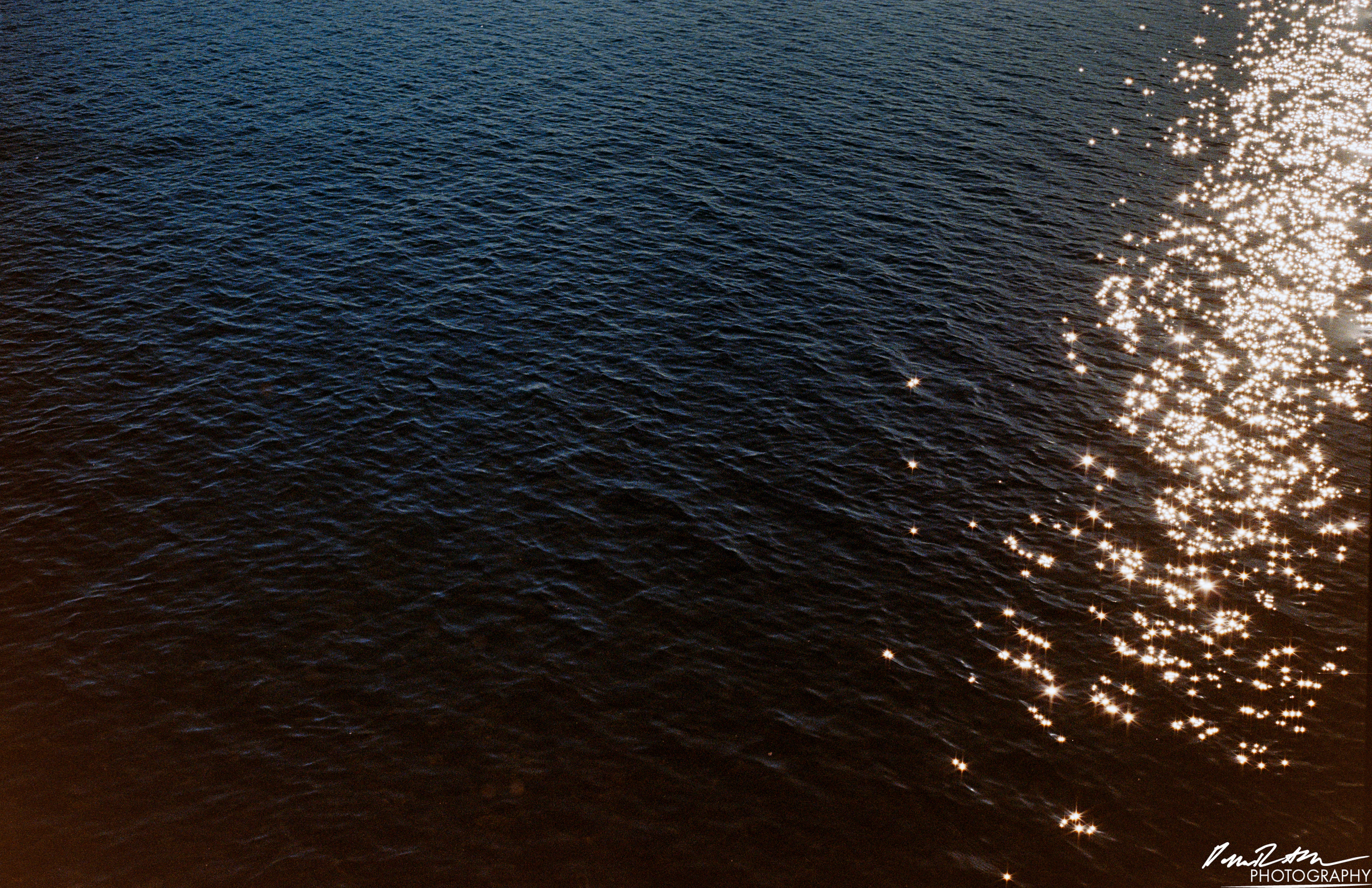 Fujifilm 400 - Nisqually Wildlife Preserve WA