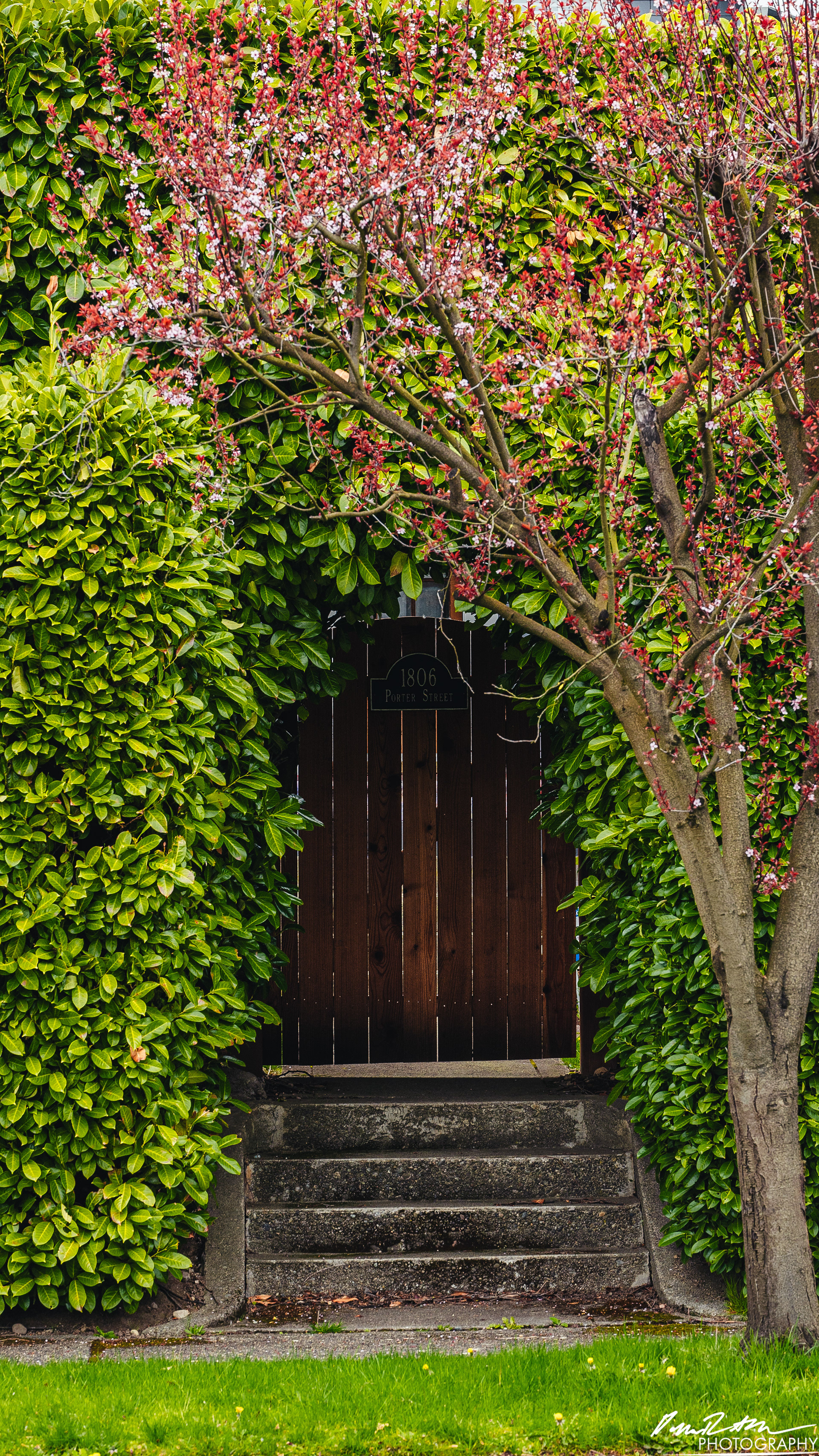 Up Close - Enumclaw WA