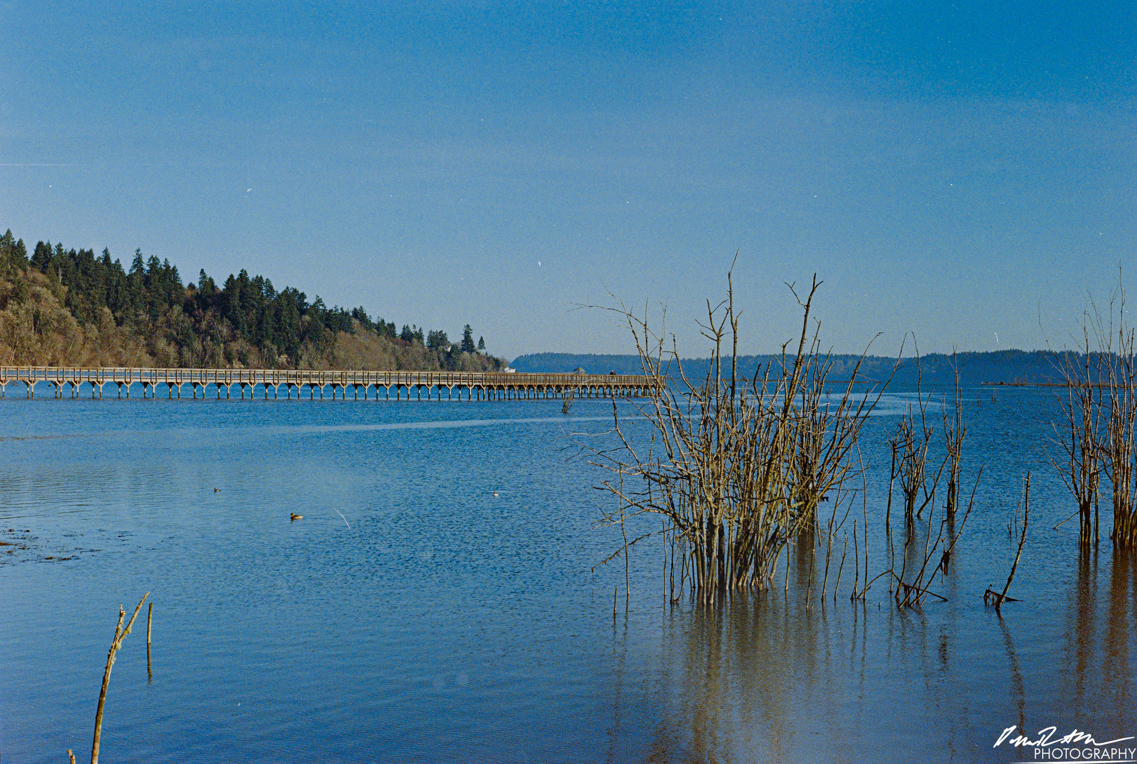Fujifilm 400 - Nisqually Wildlife Preserve WA