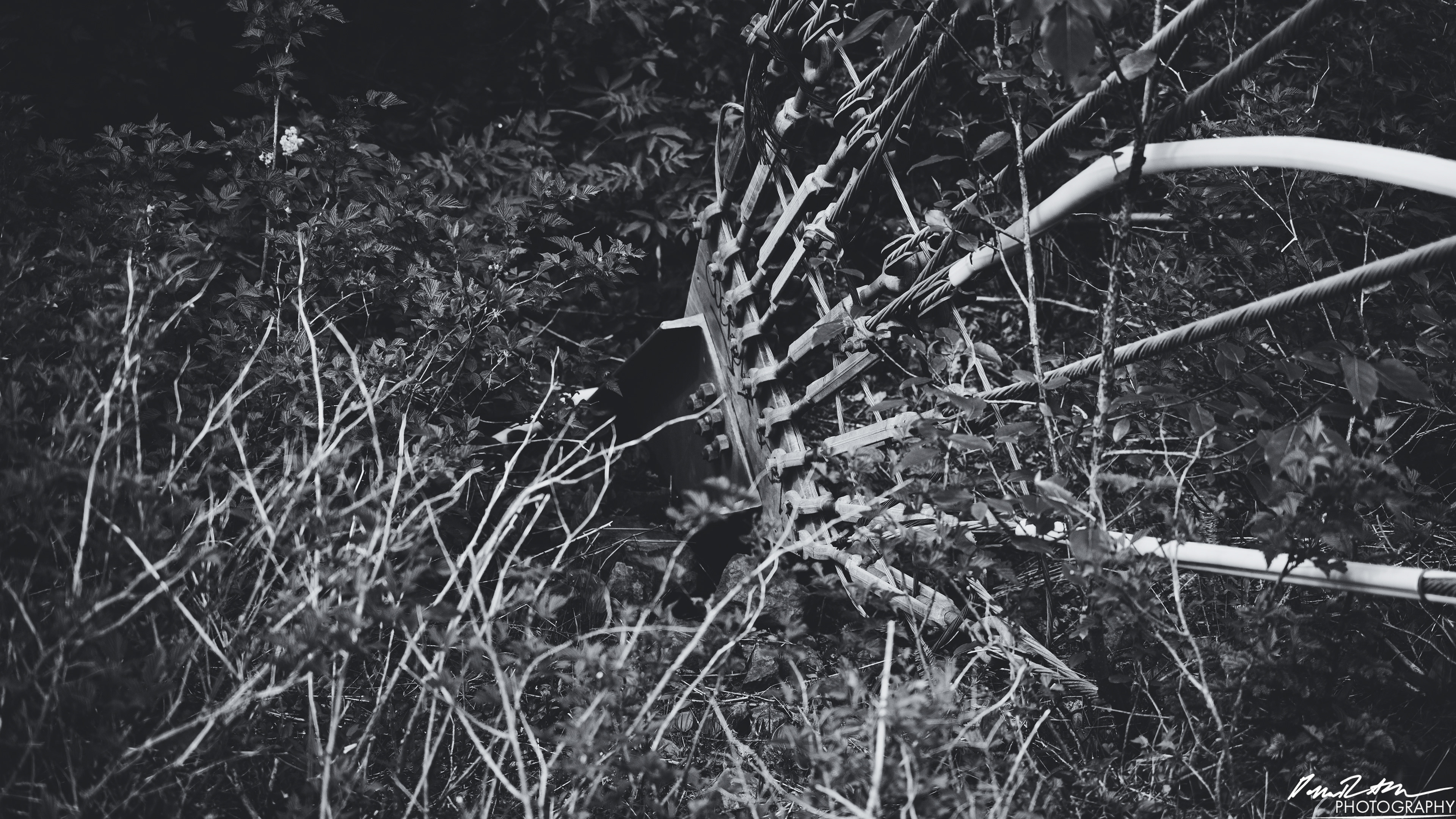 Numbers Station - Olympia WA