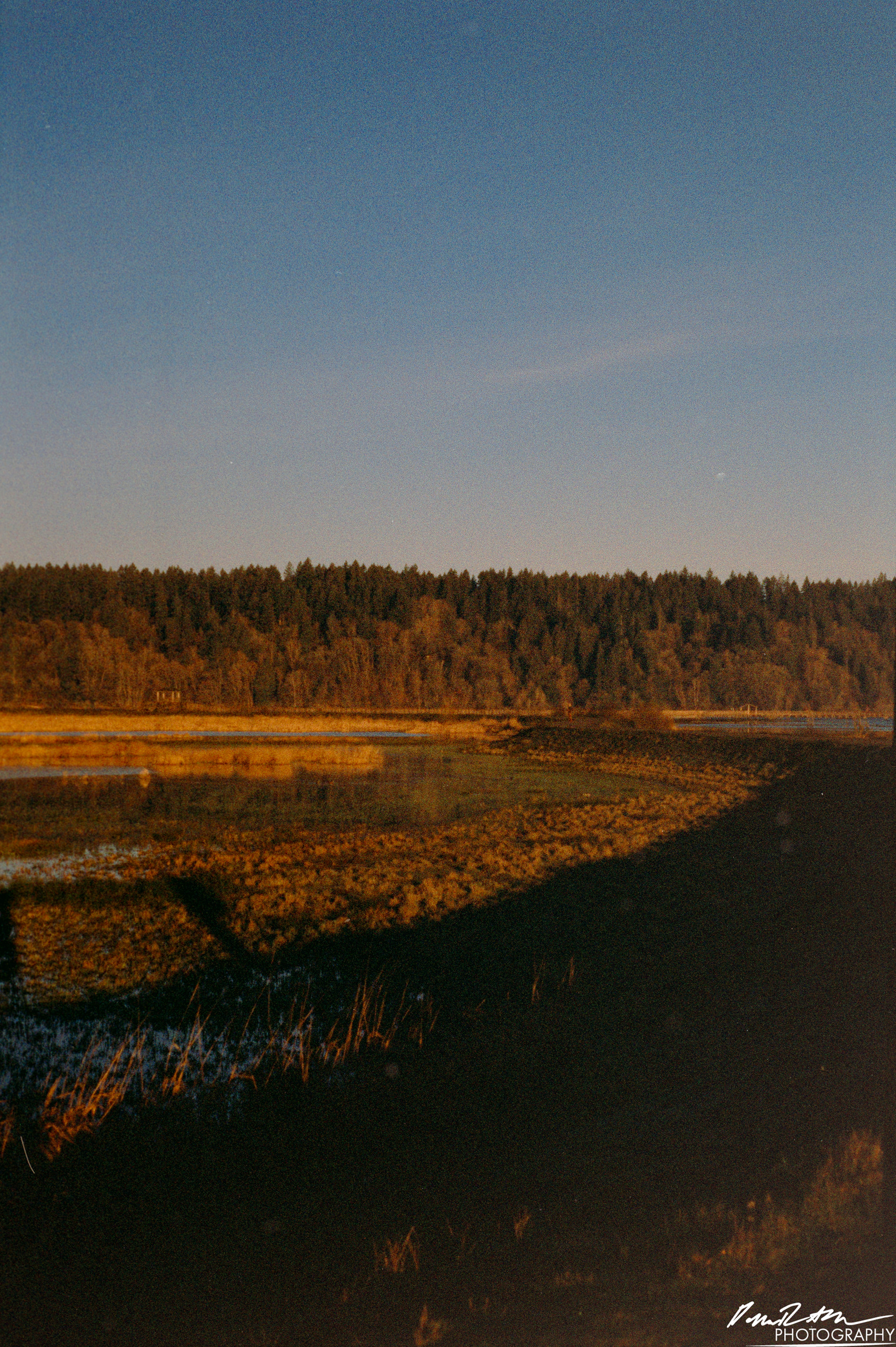 Pheonix 200 - Nisqually Wildlife Preserve WA