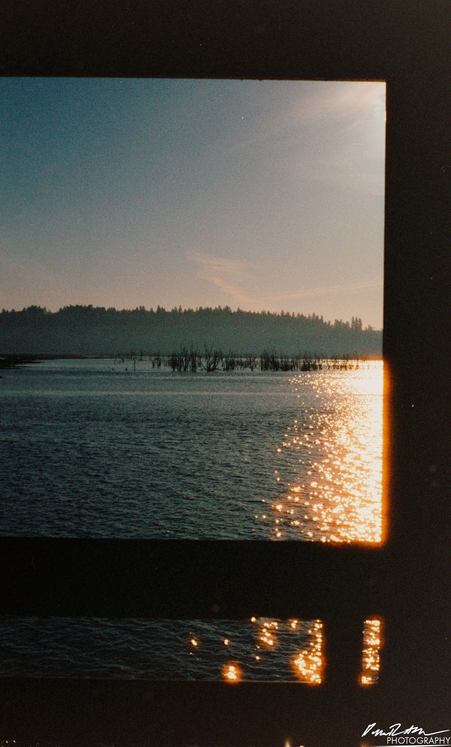 Pheonix 200 - Nisqually Wildlife Preserve WA