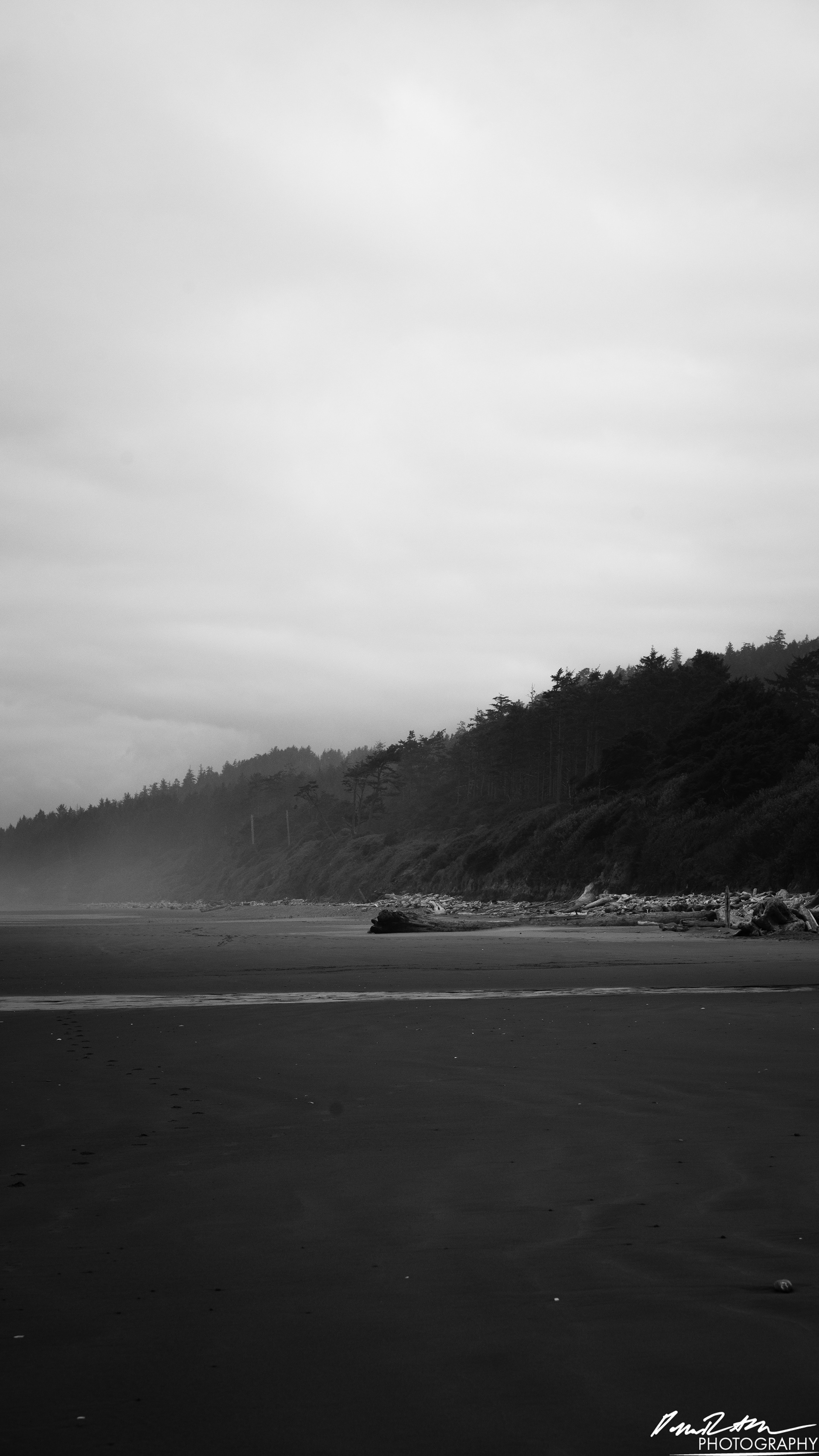 The Beach of Life - Kalaloch 