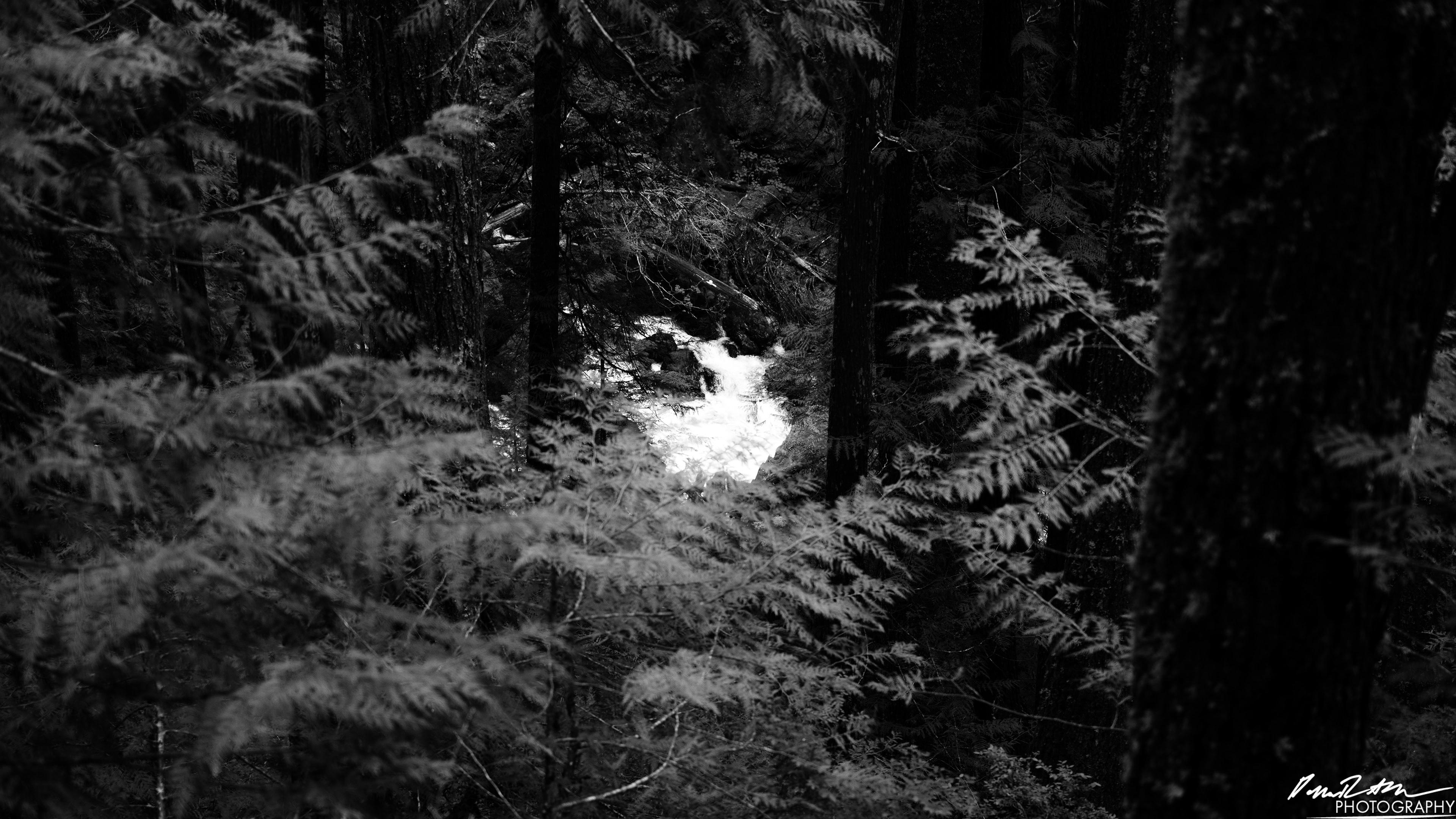 Snow Melt - Lena Lake