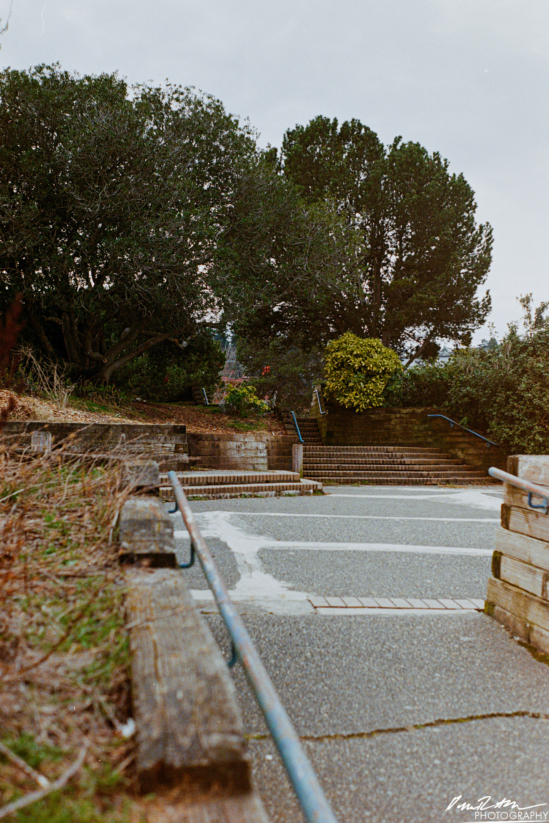 Fujifilm 400 - Tacoma WA