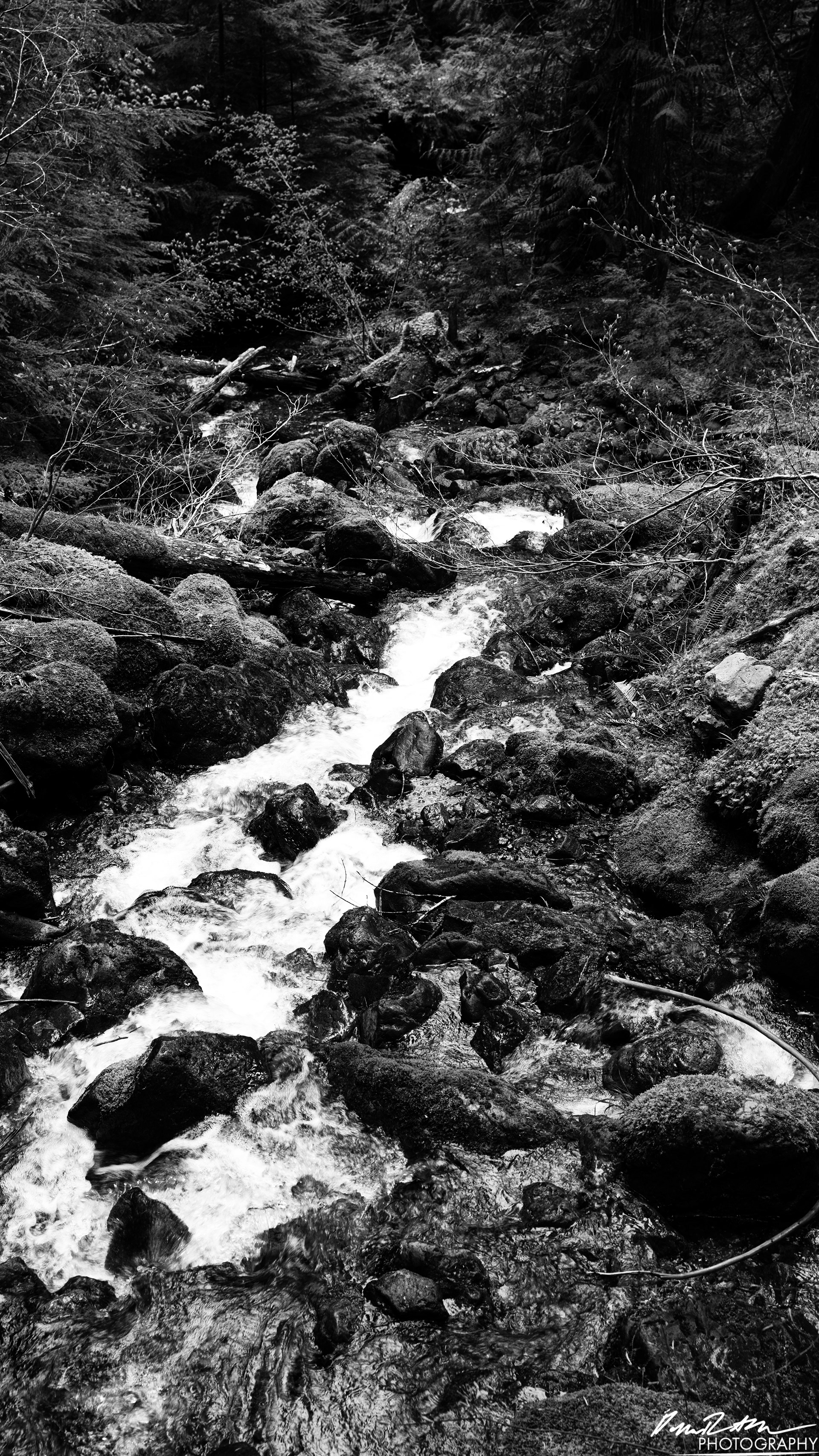 Snow Melt - Lena Lake