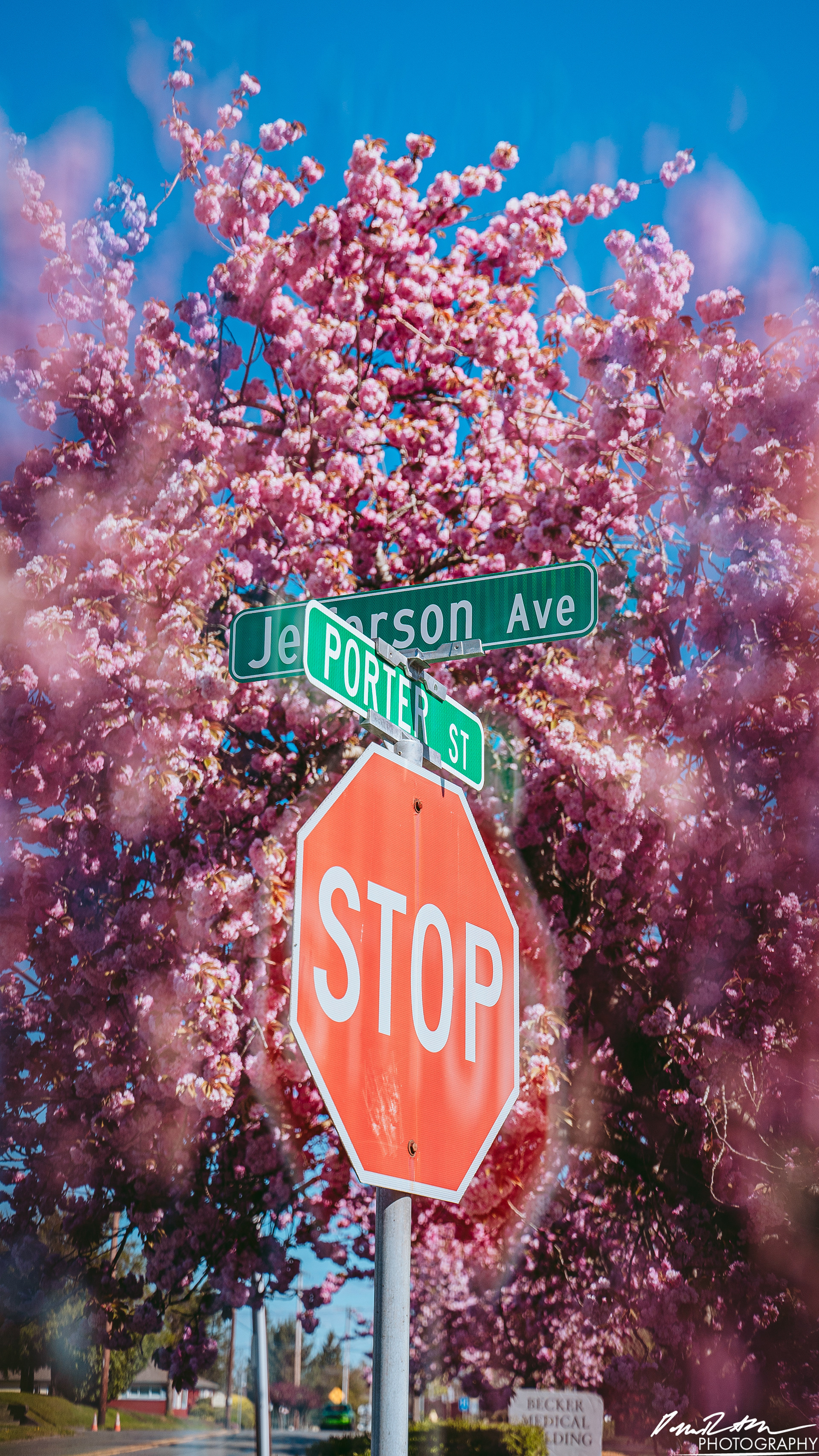 Out of Focus - Enumclaw WA