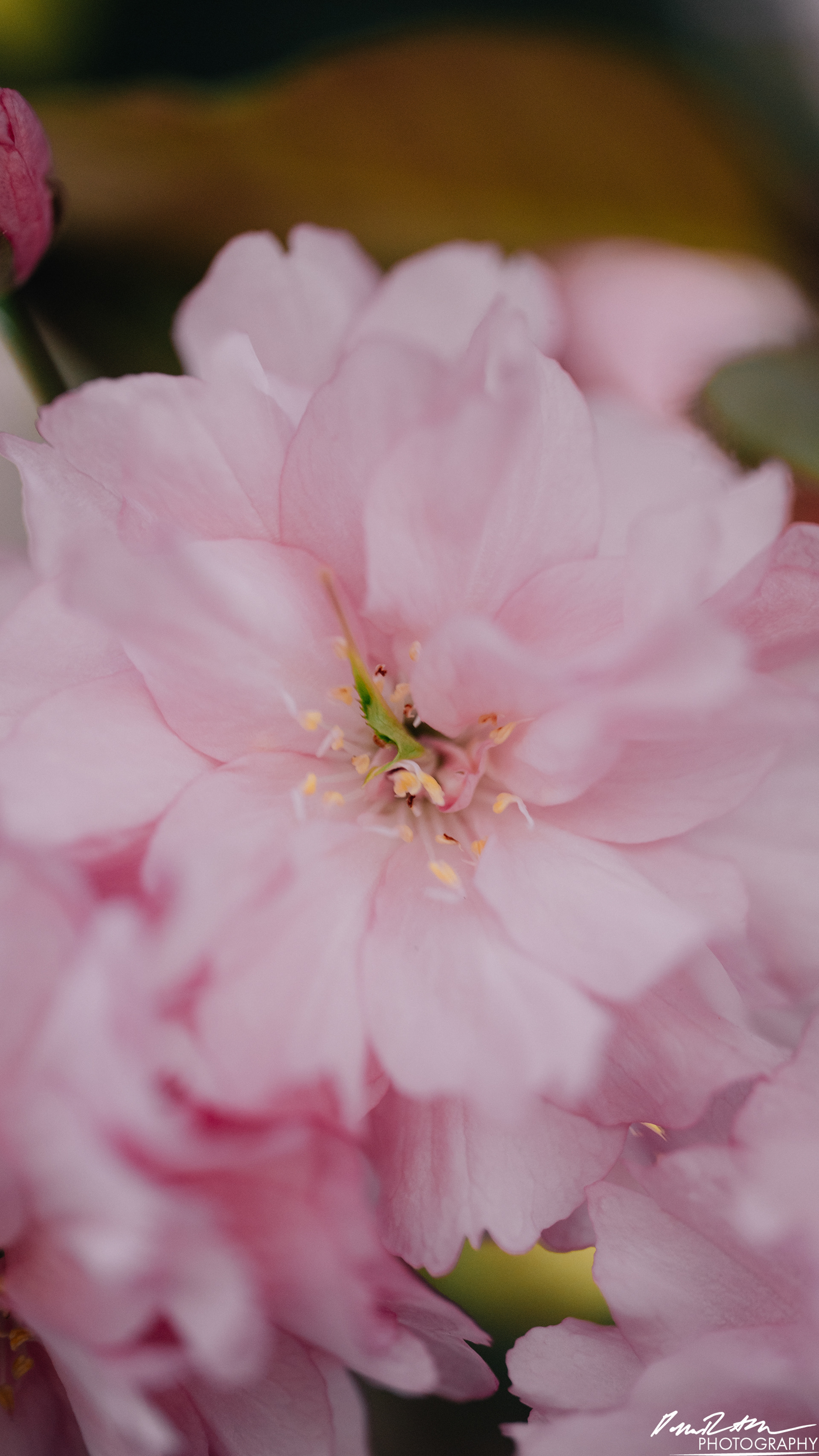 Big World - Enumclaw WA