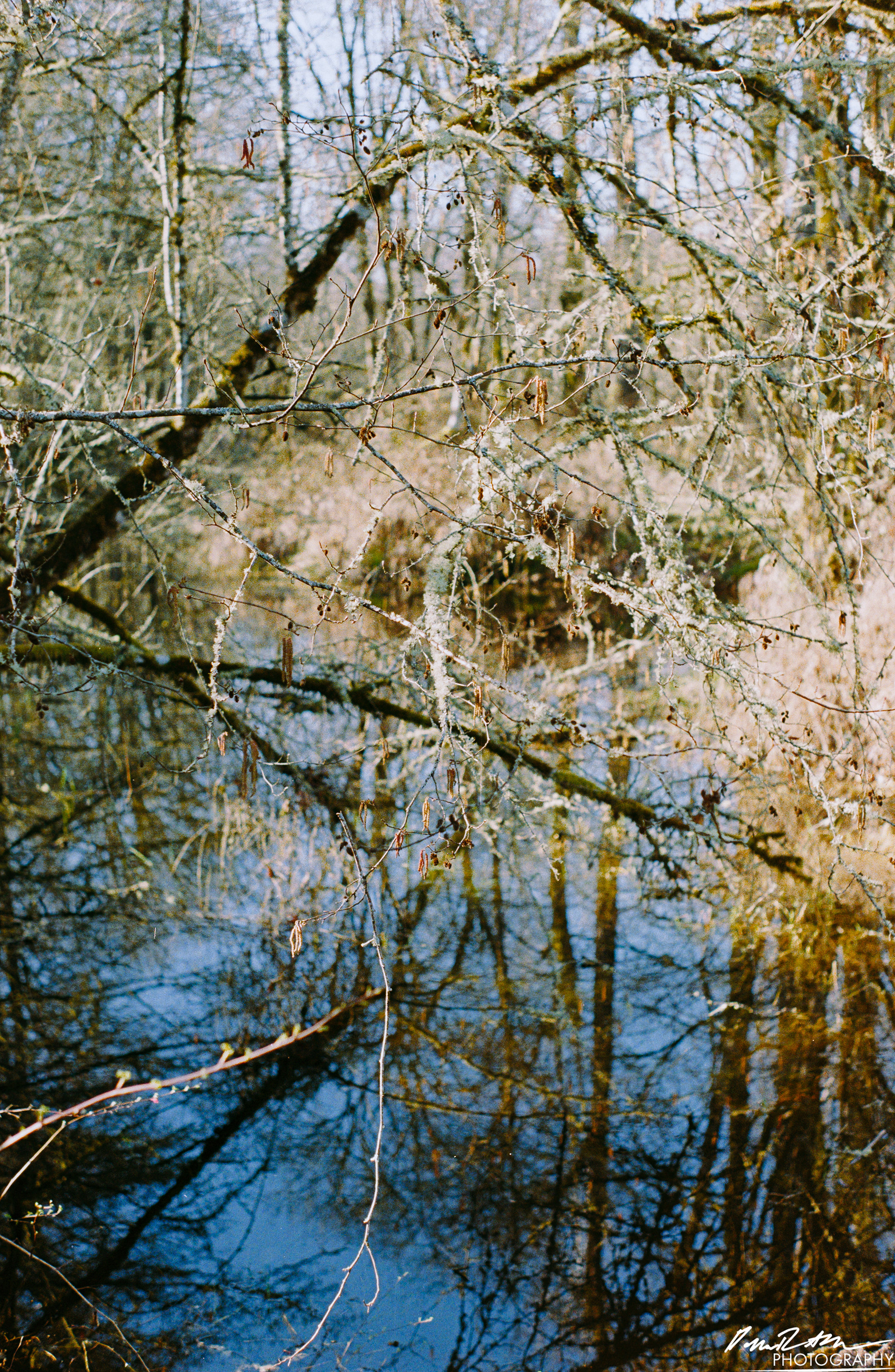 Fujifilm 400 - Nisqually Wildlife Preserve WA