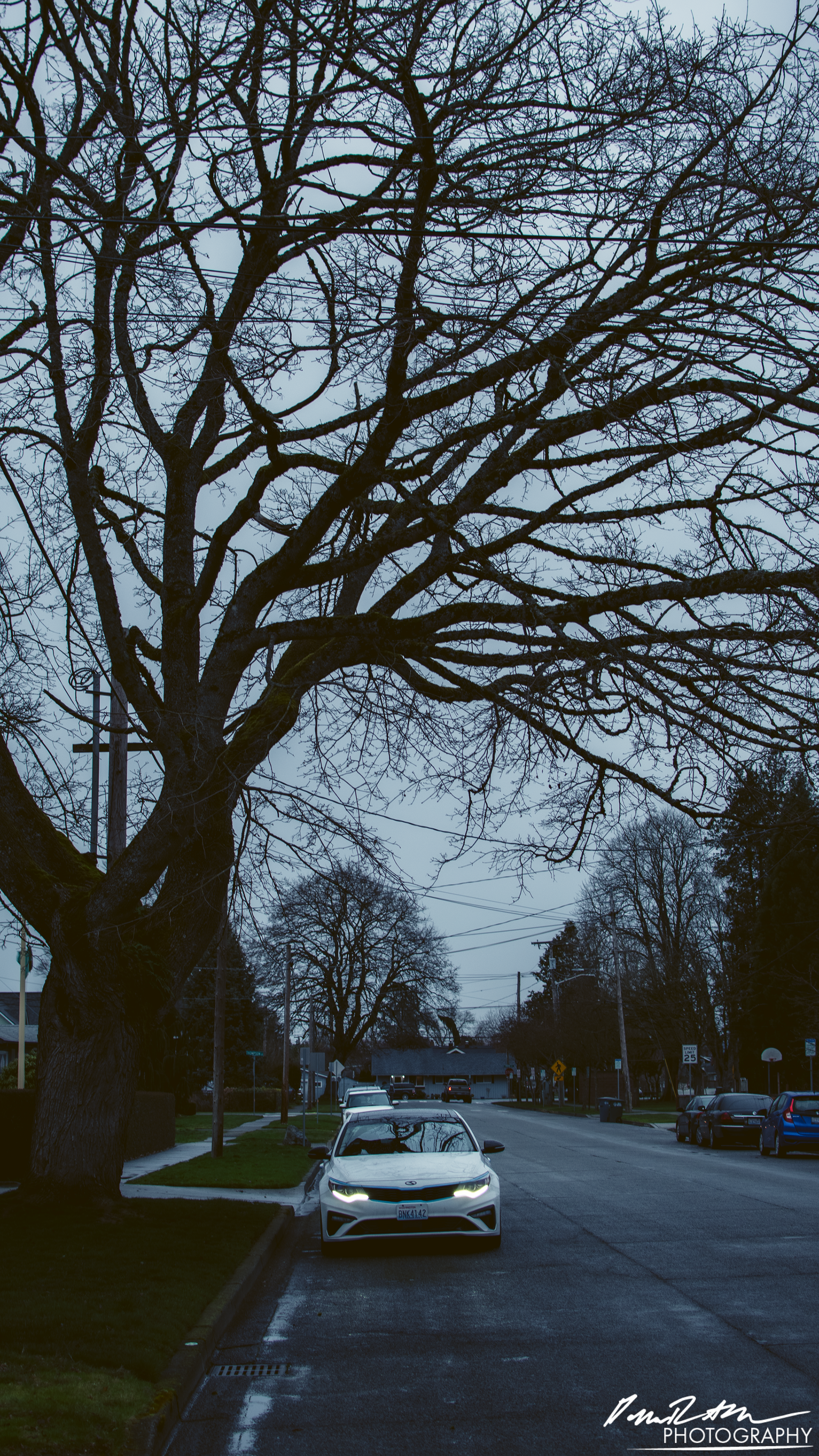 Pestilence, Sumner WA