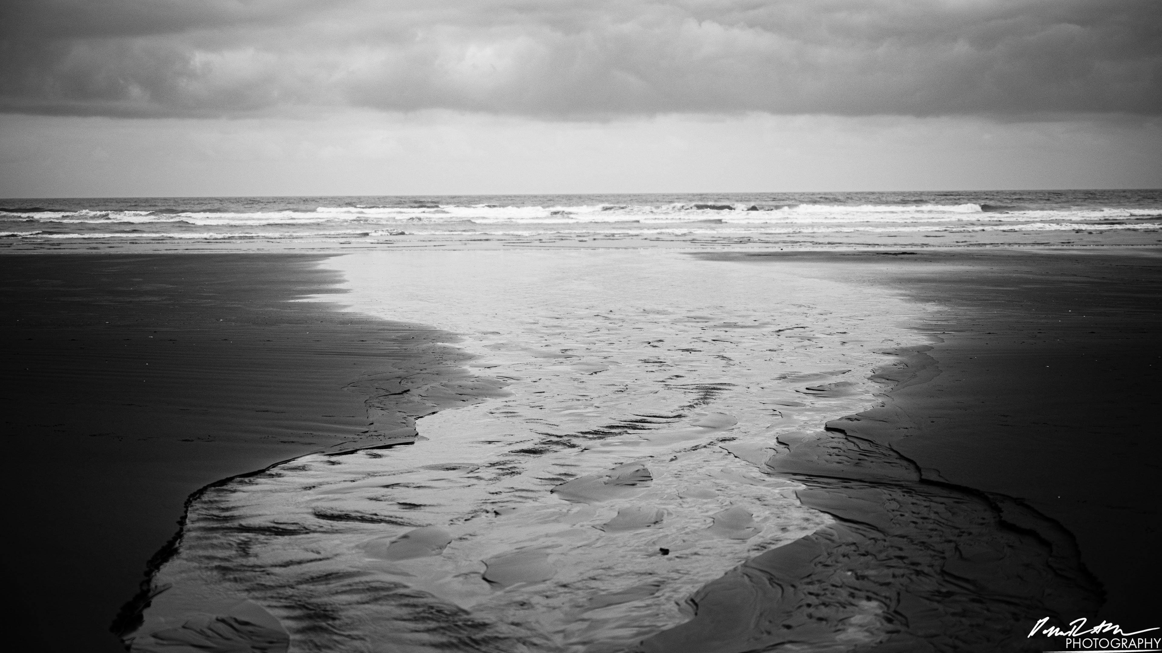 The Beach of Life - Kalaloch 