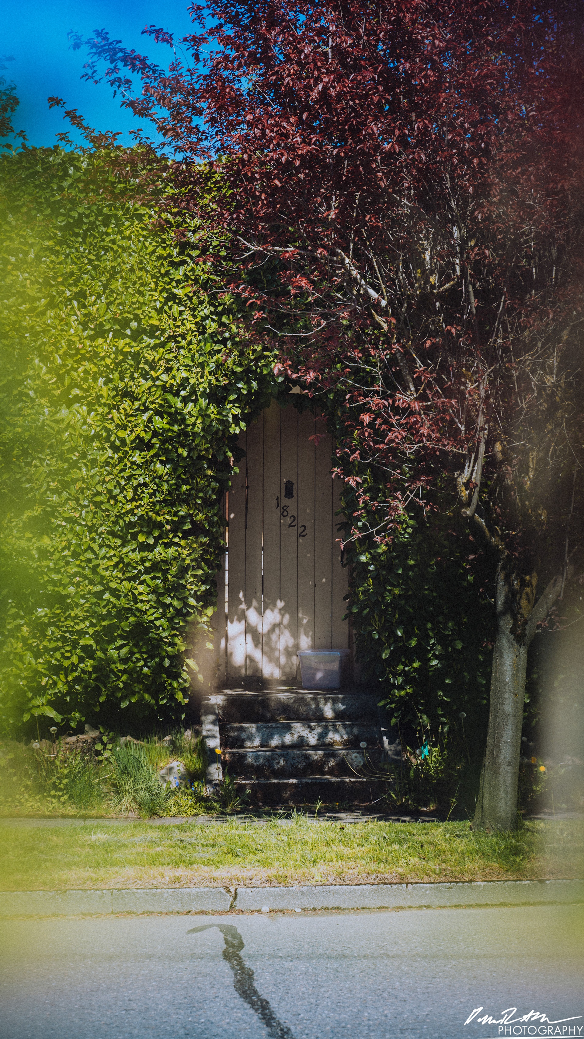 Out of Focus - Enumclaw WA