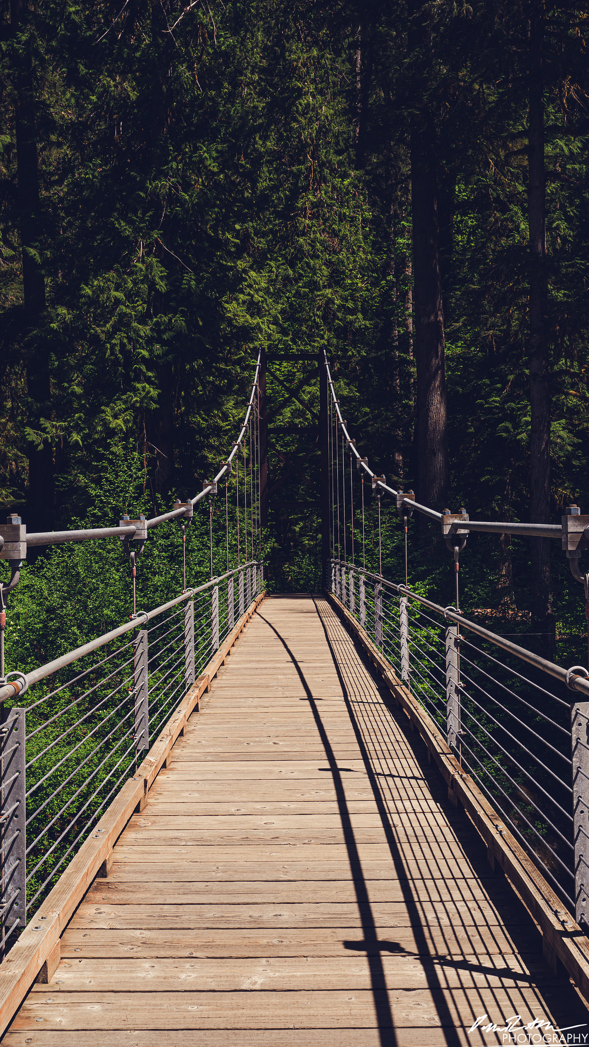 Rapids - Lake Cushman