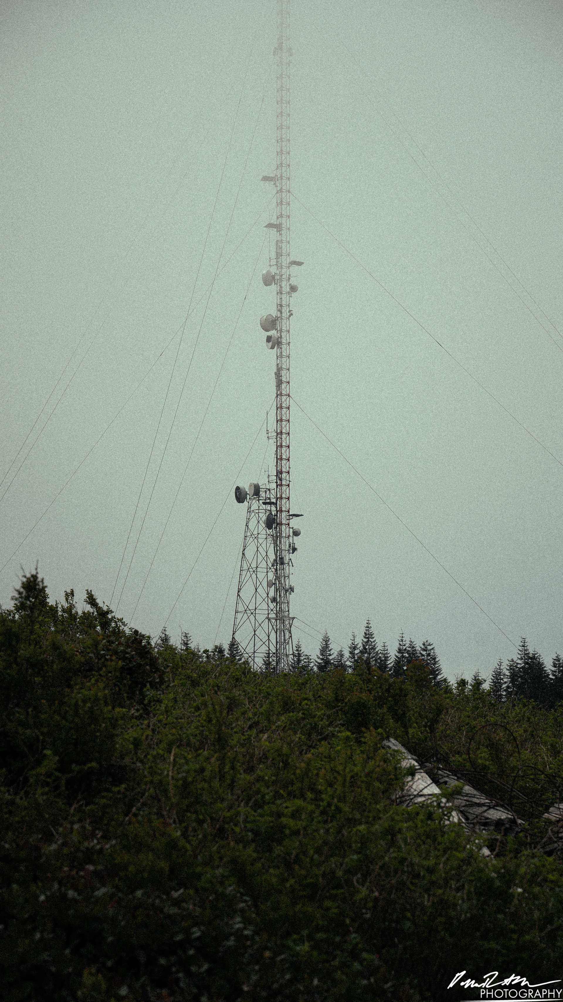 Numbers Station - Olympia WA