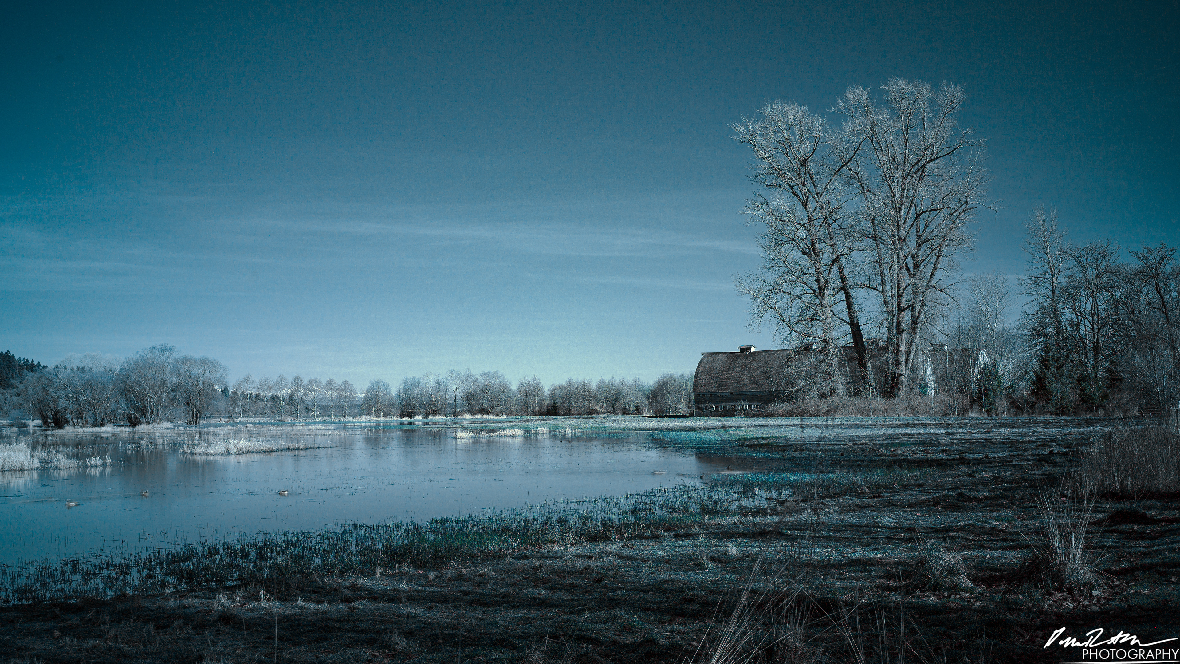 Infared - Nisqually WA