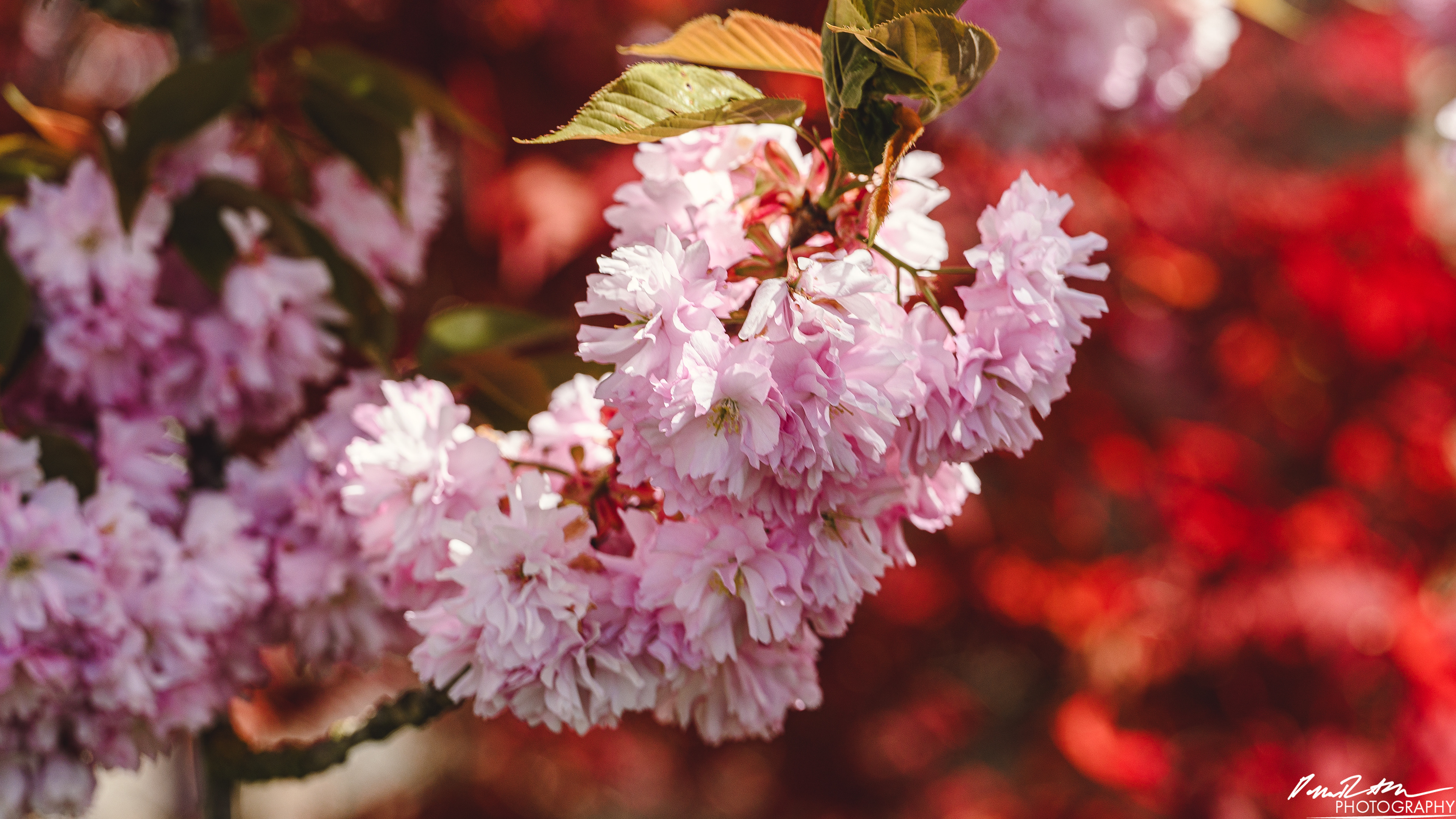 Big World - Enumclaw WA