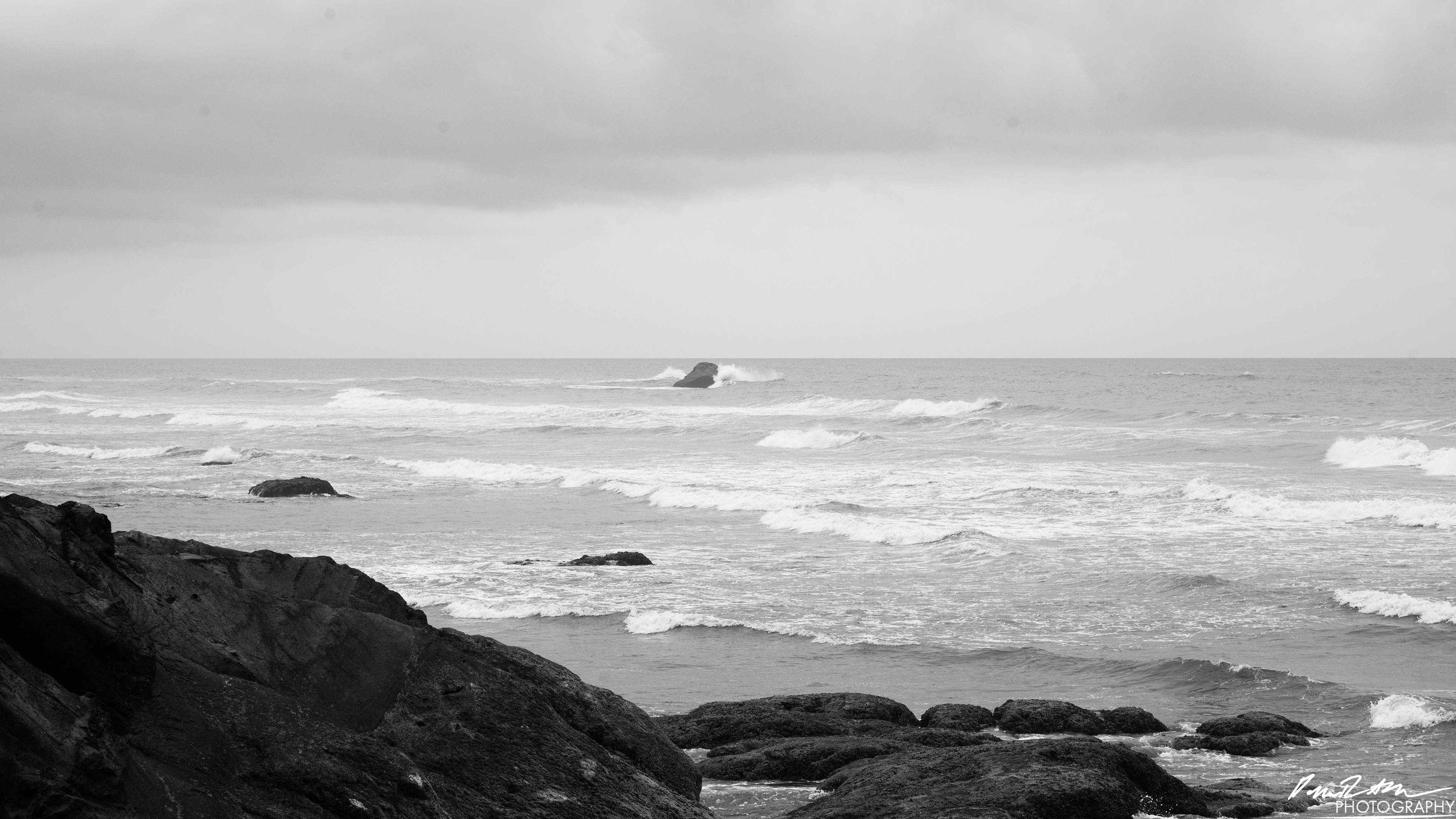 The Beach of Life - Kalaloch 
