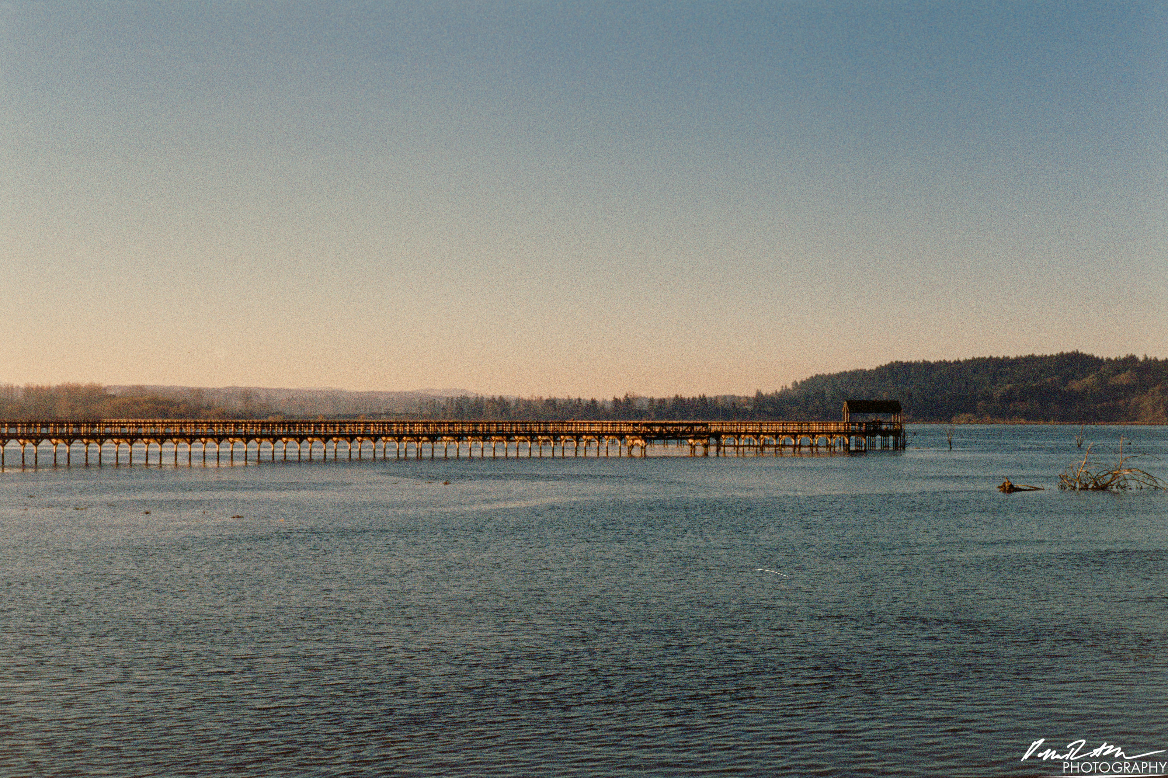 Pheonix 200 - Nisqually Wildlife Preserve WA