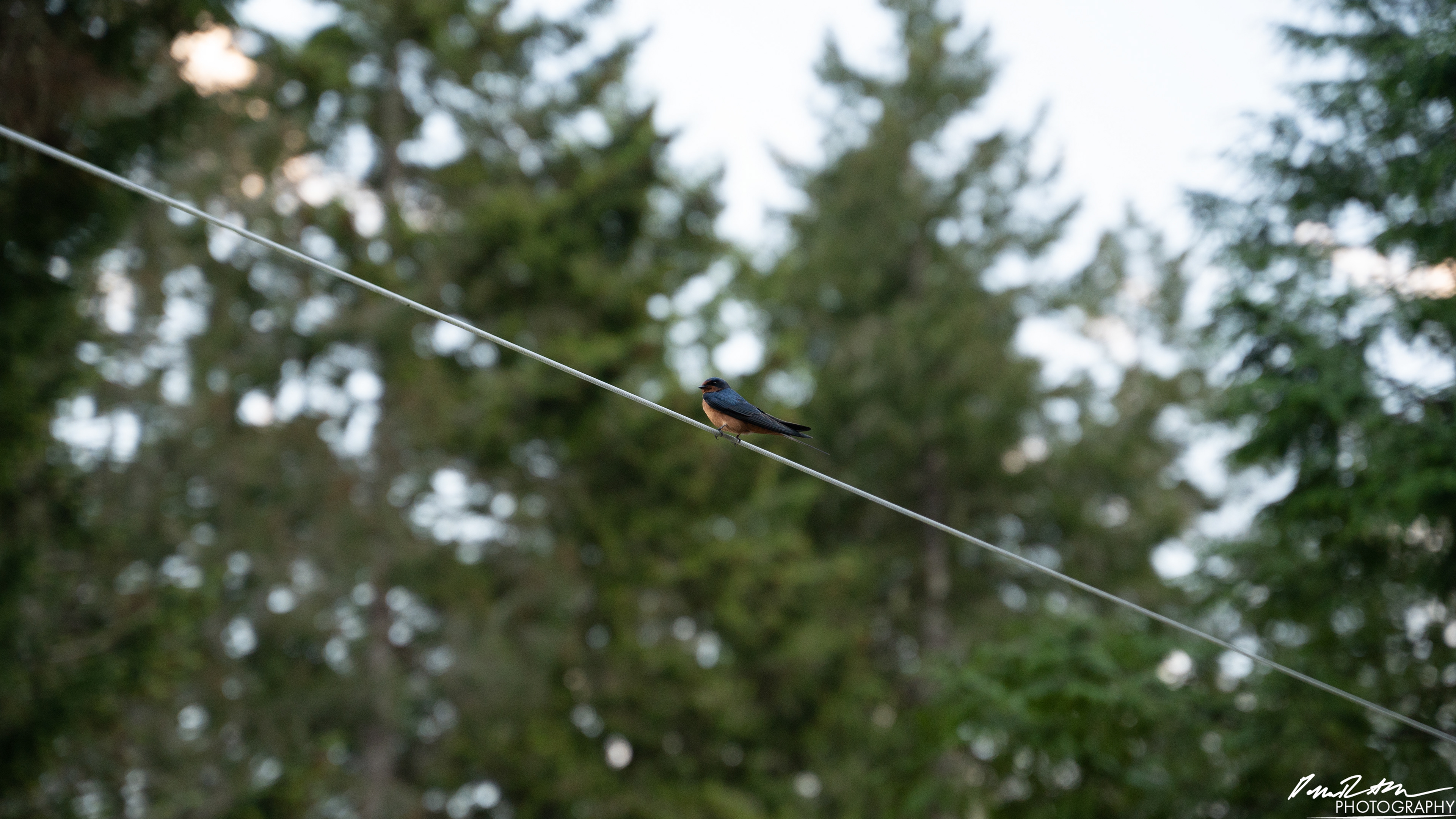 End of the Day - Hood Canal