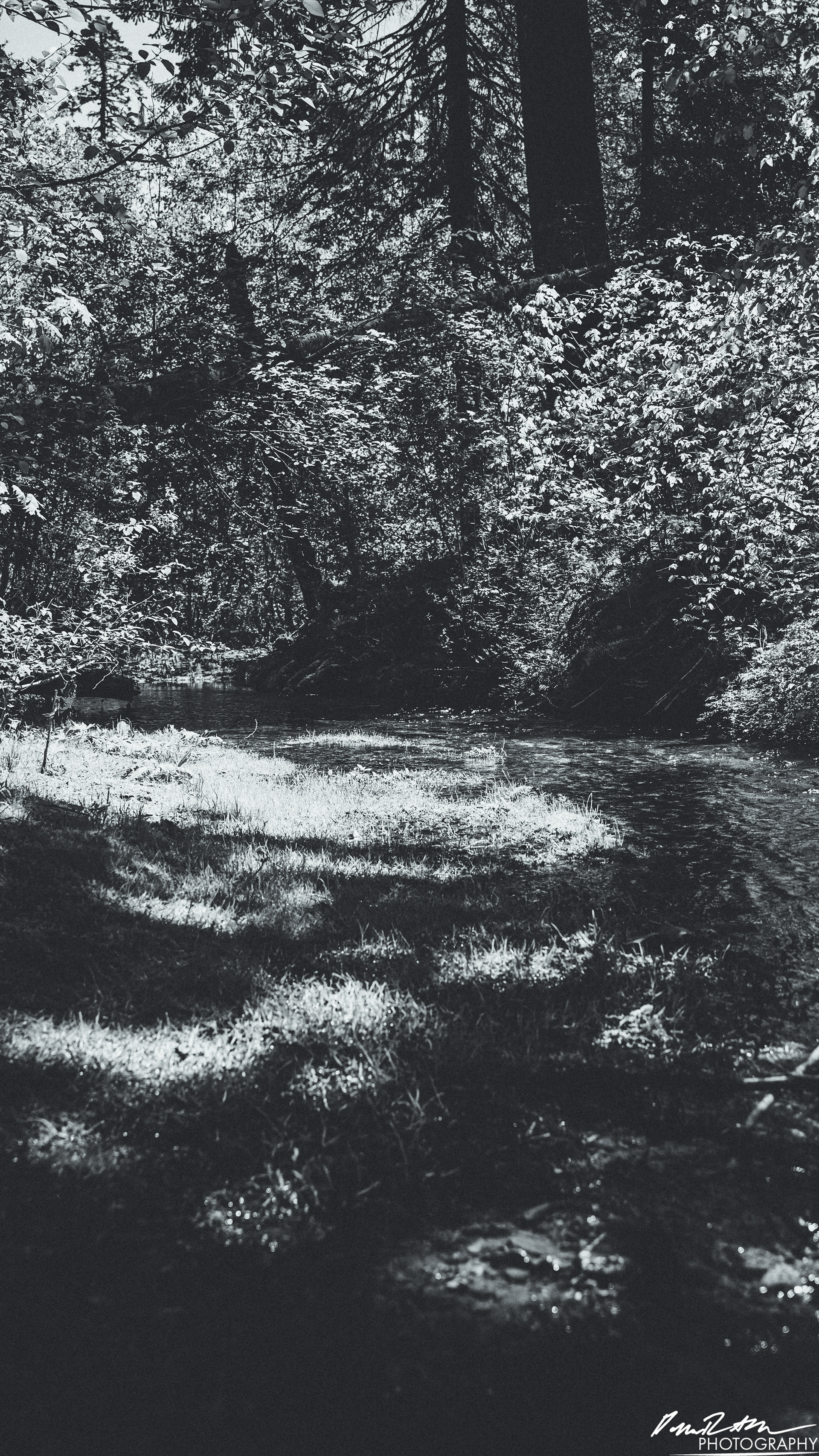 Rapids - Lake Cushman