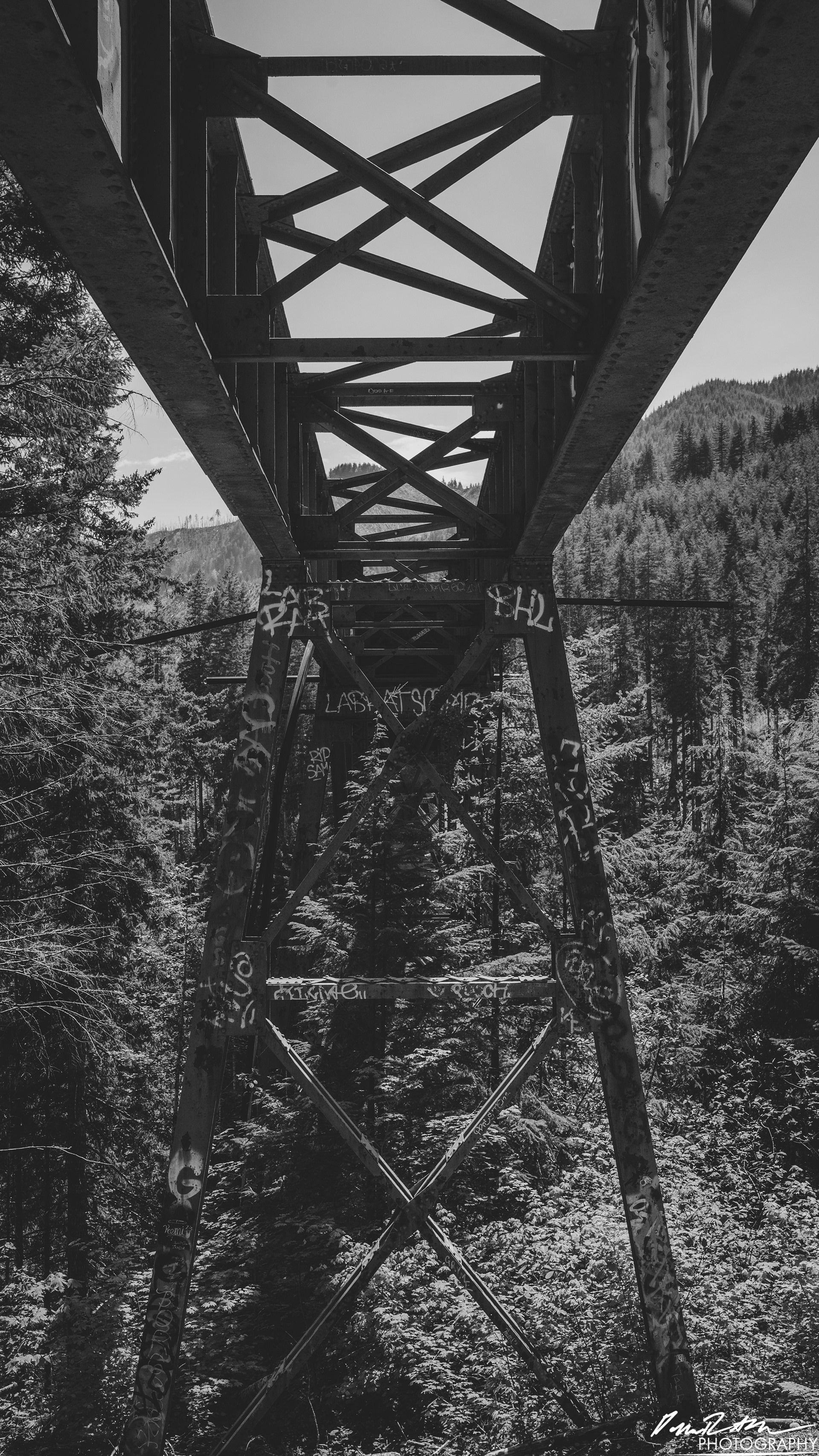 CAUTION - Olympic National Forest