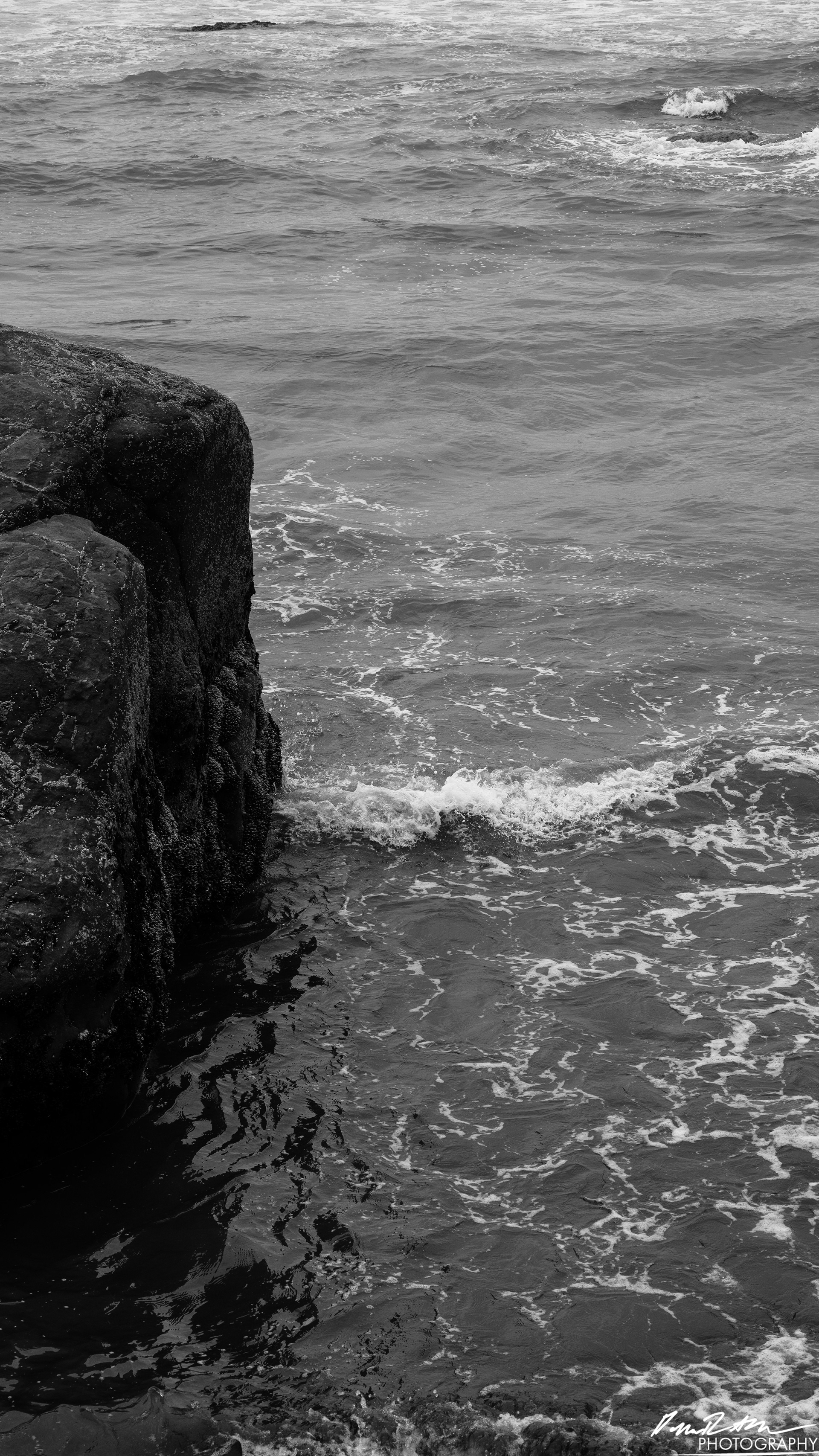 The Beach of Life - Kalaloch 