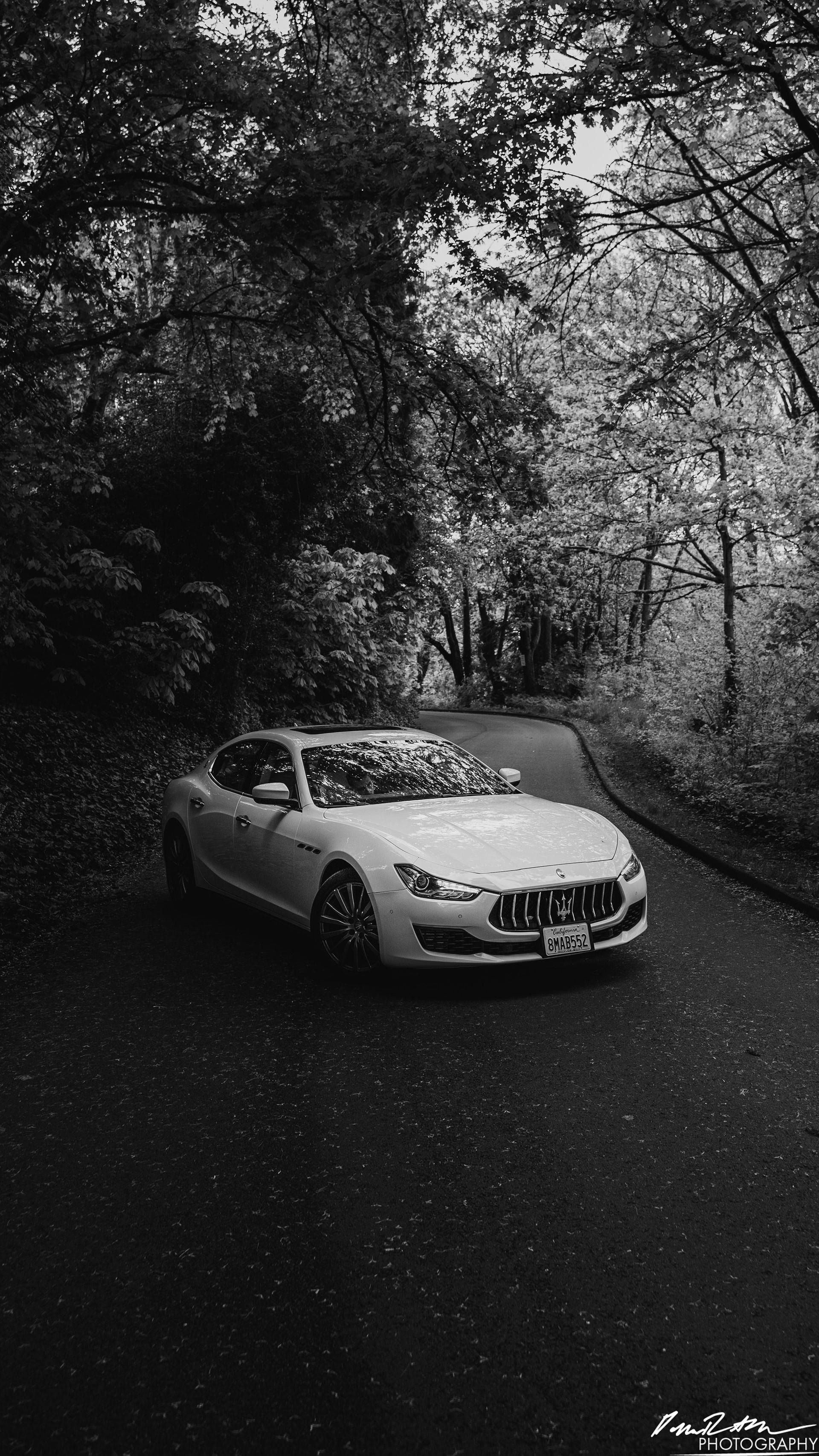 Stand Off - Seattle WA