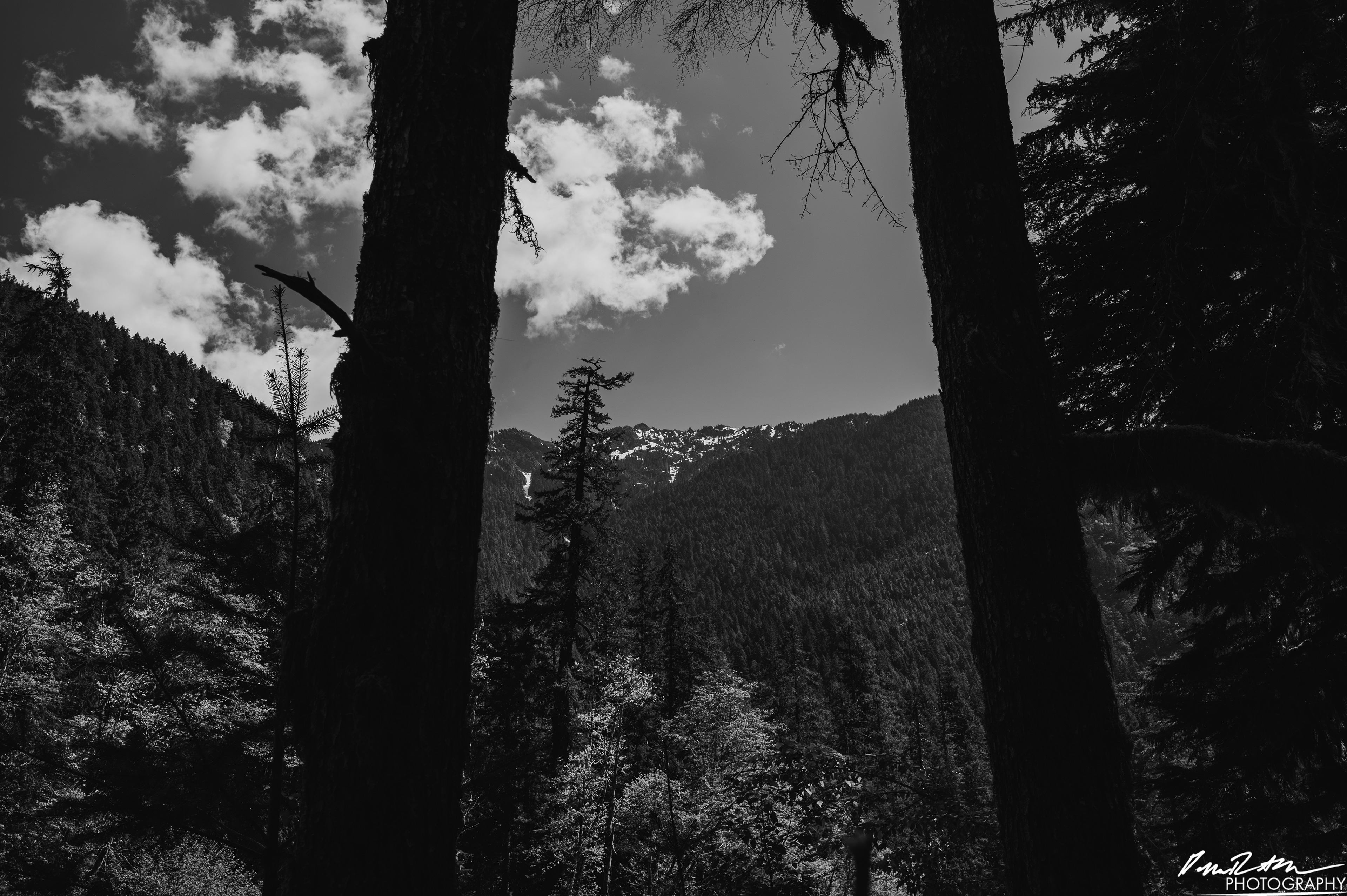 Rapids - Lake Cushman