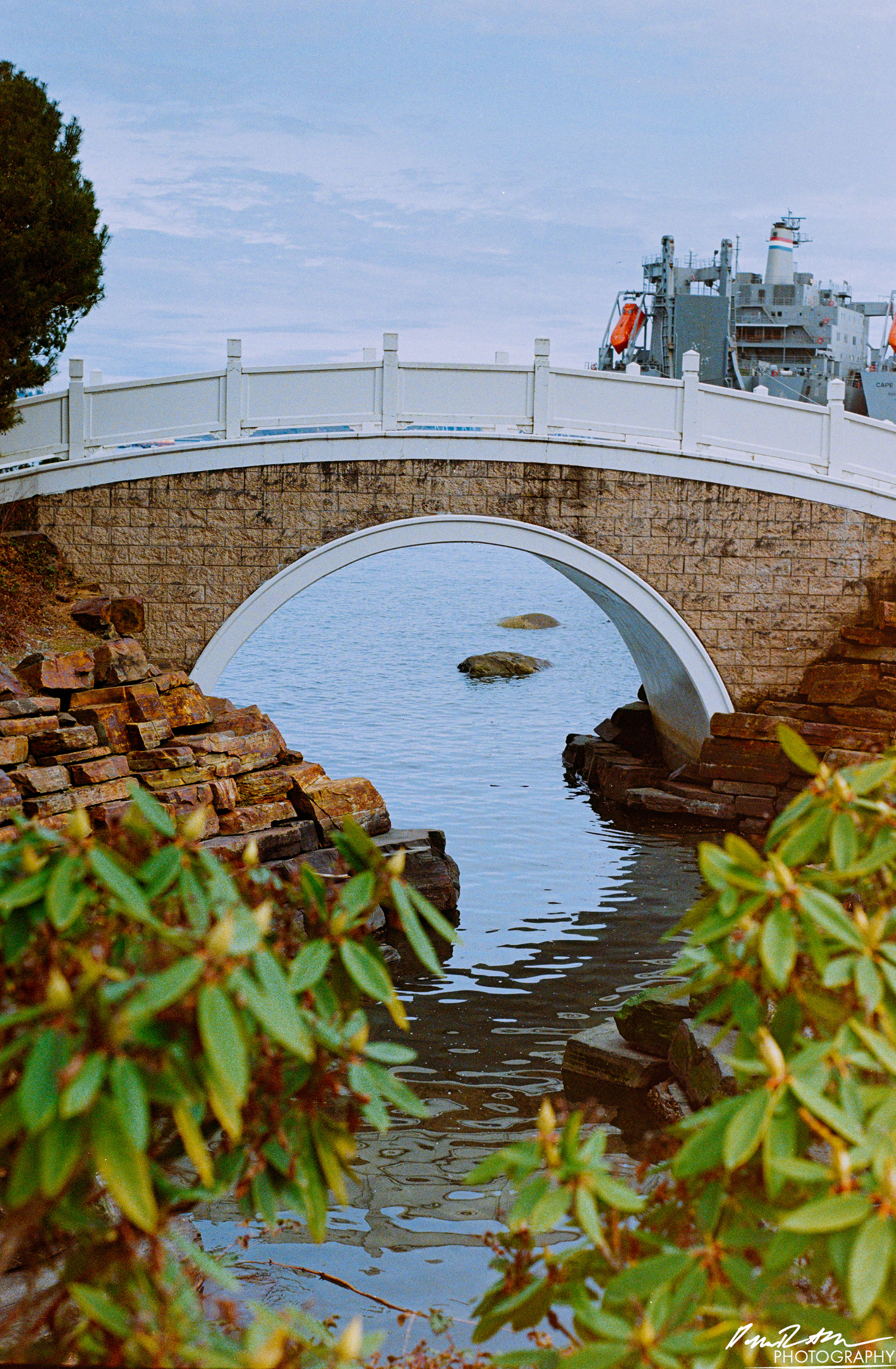 Fujifilm 400 - Tacoma WA
