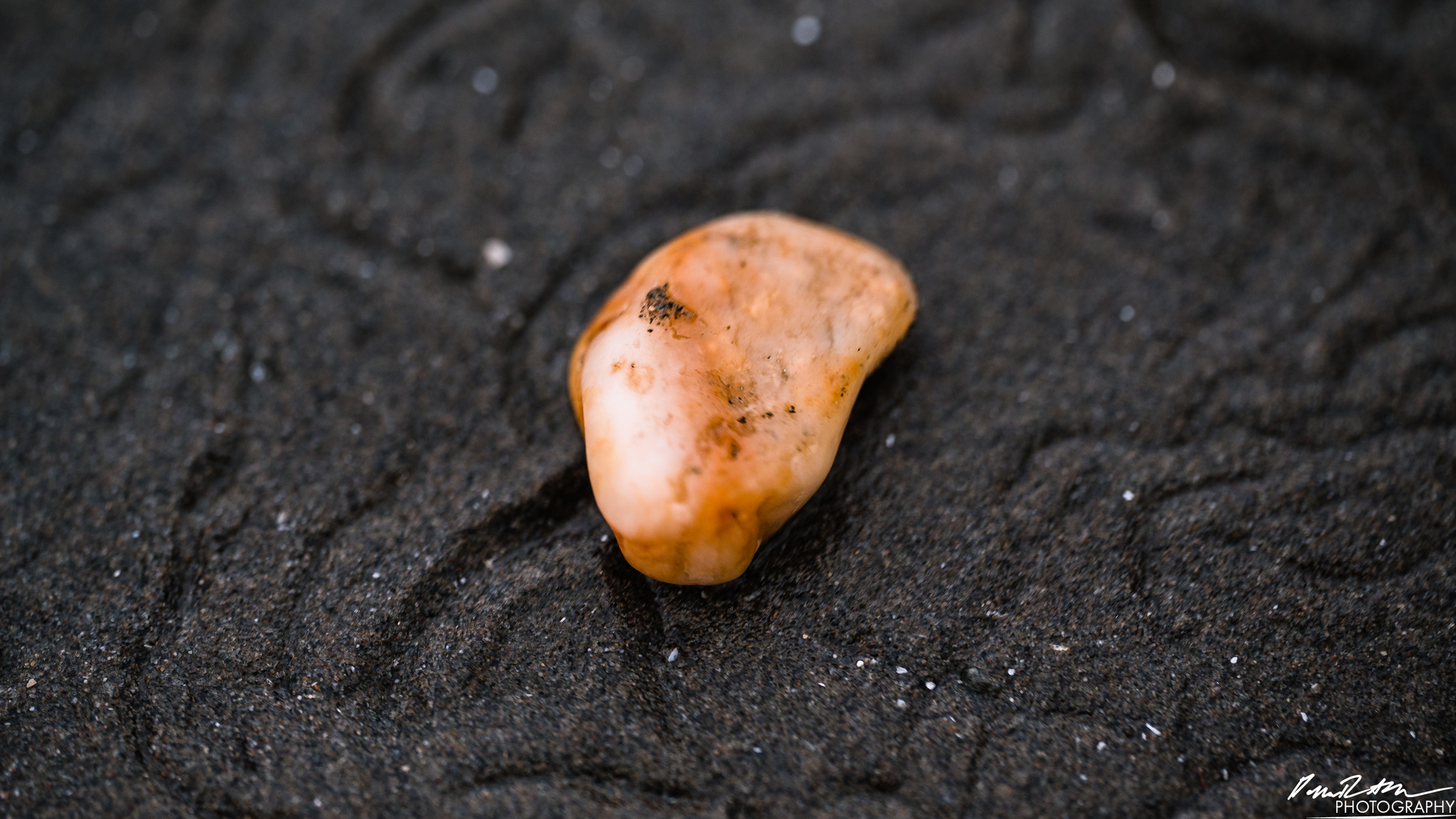The Beach of Life - Kalaloch 
