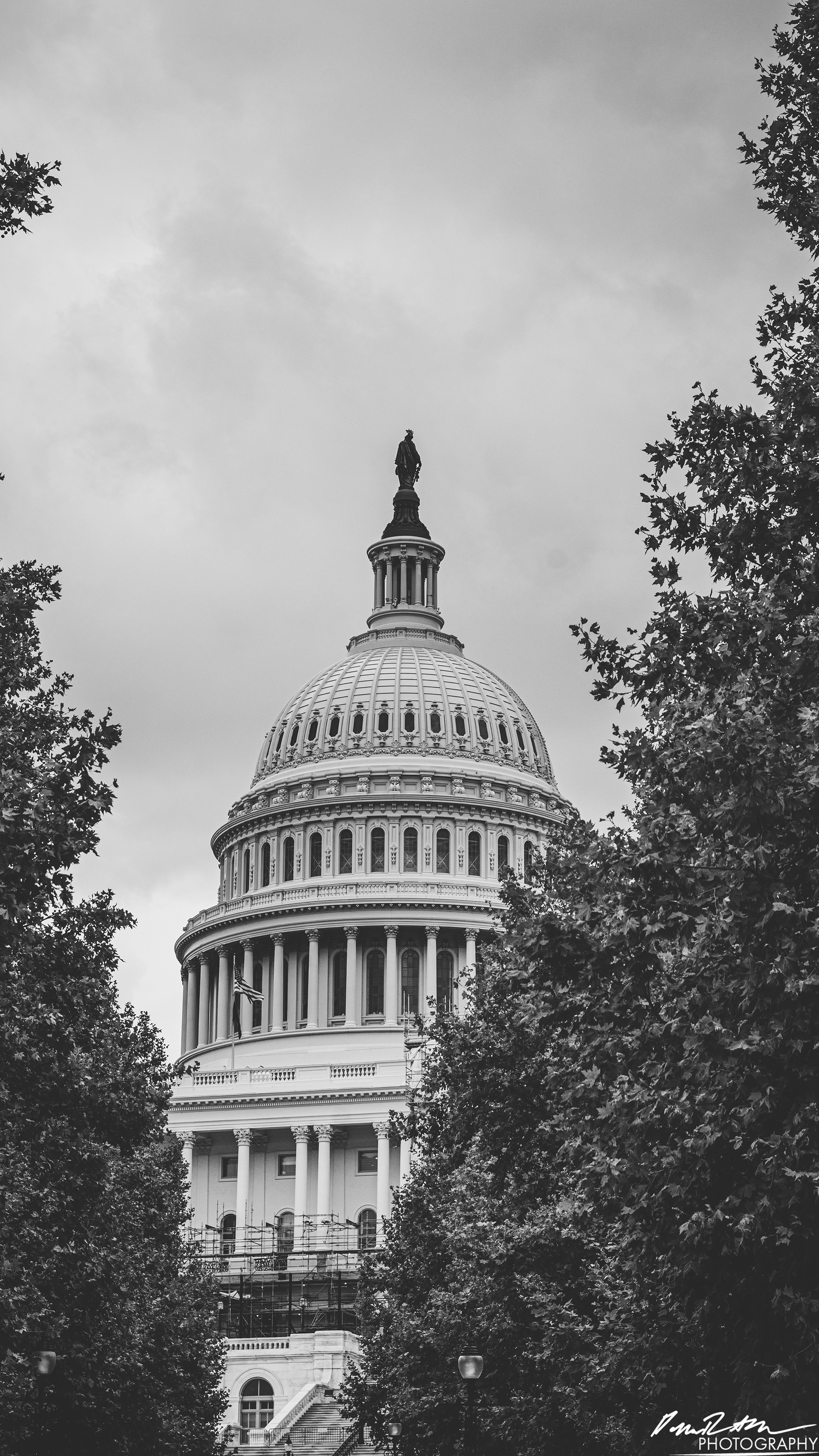 Dome - Washington DC