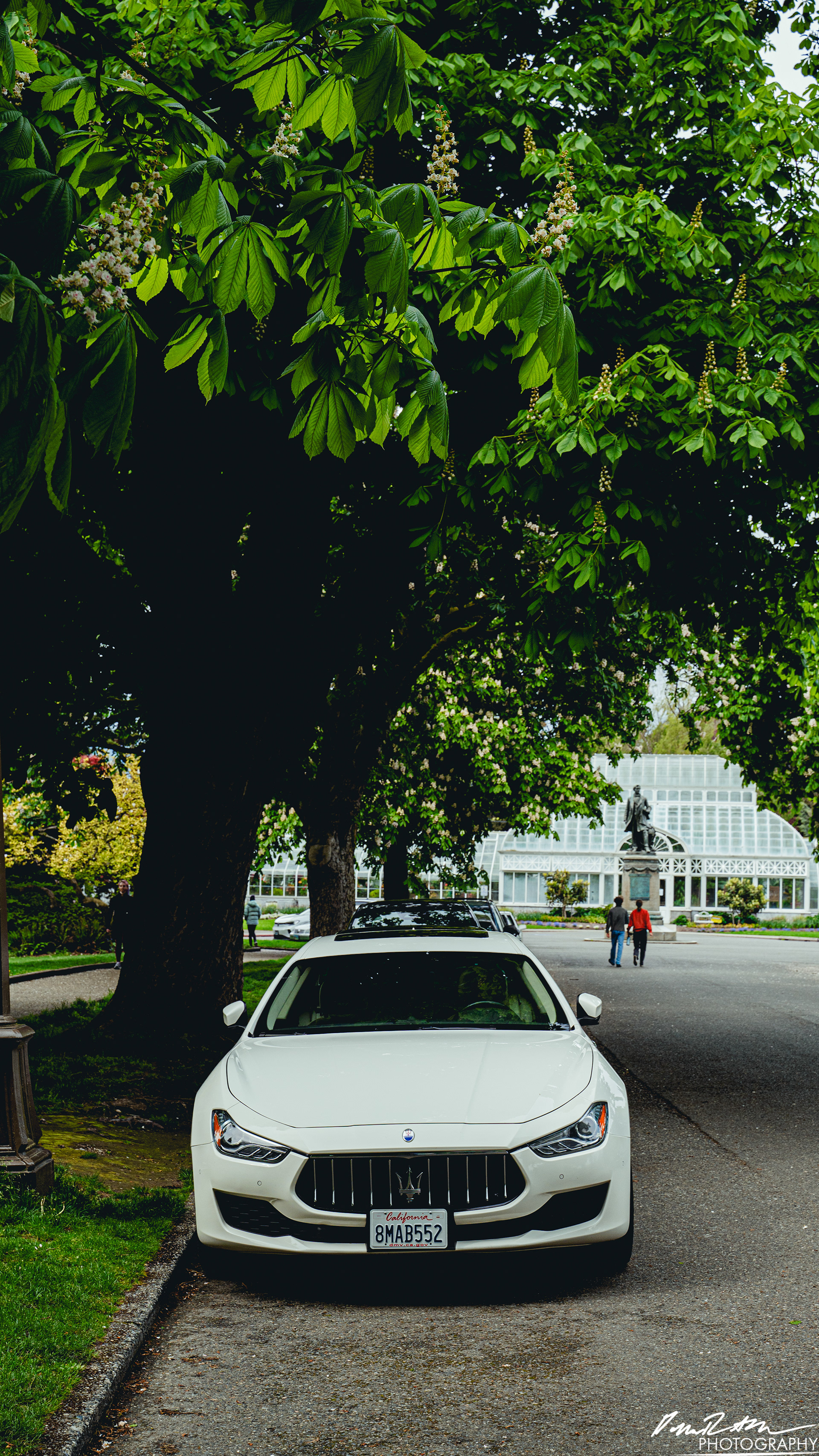 Stand Off - Seattle WA
