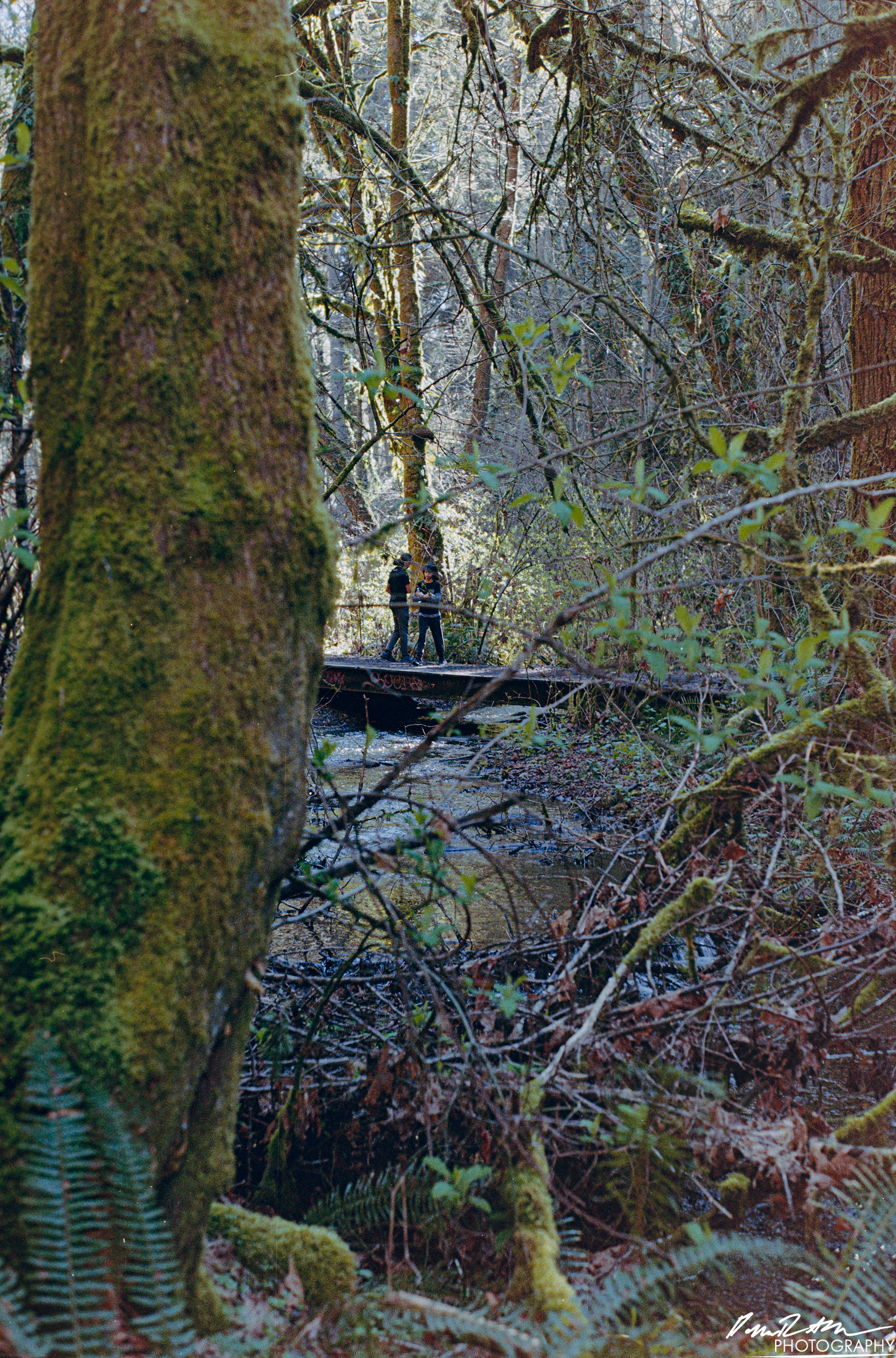 Fujifilm 400 - Dupont WA