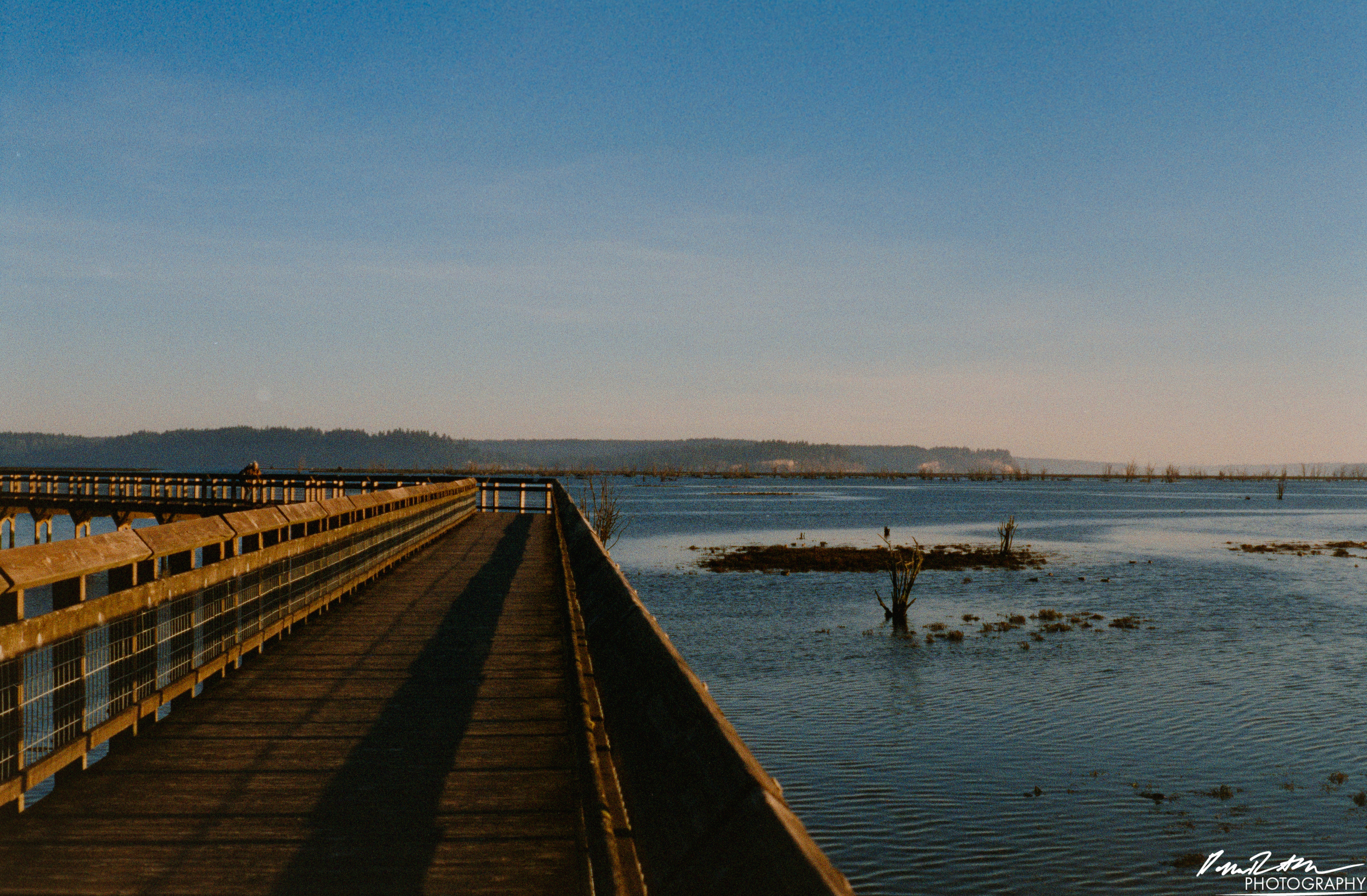 Pheonix 200 - Nisqually Wildlife Preserve WA
