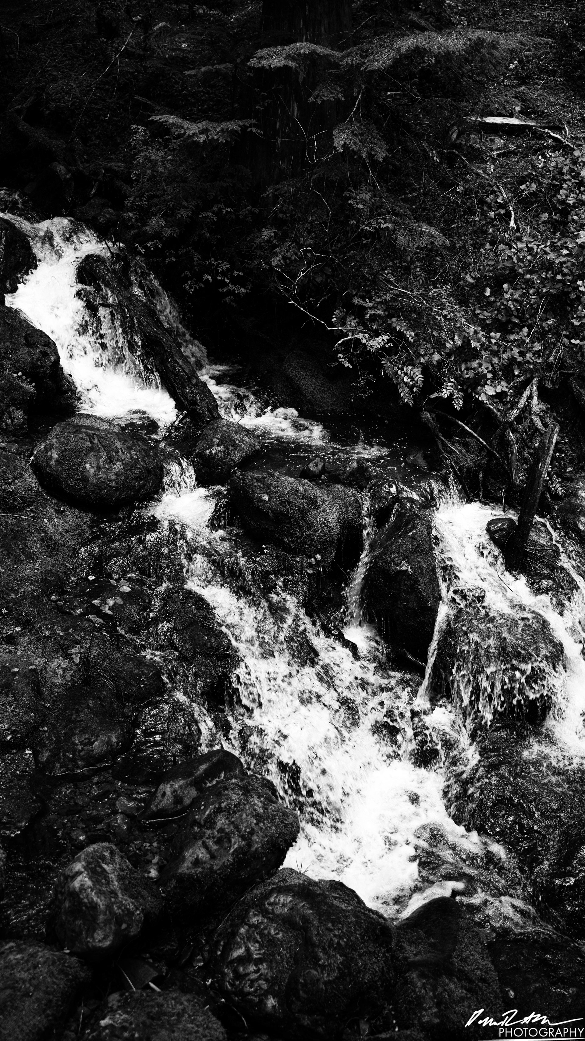 Snow Melt - Lena Lake