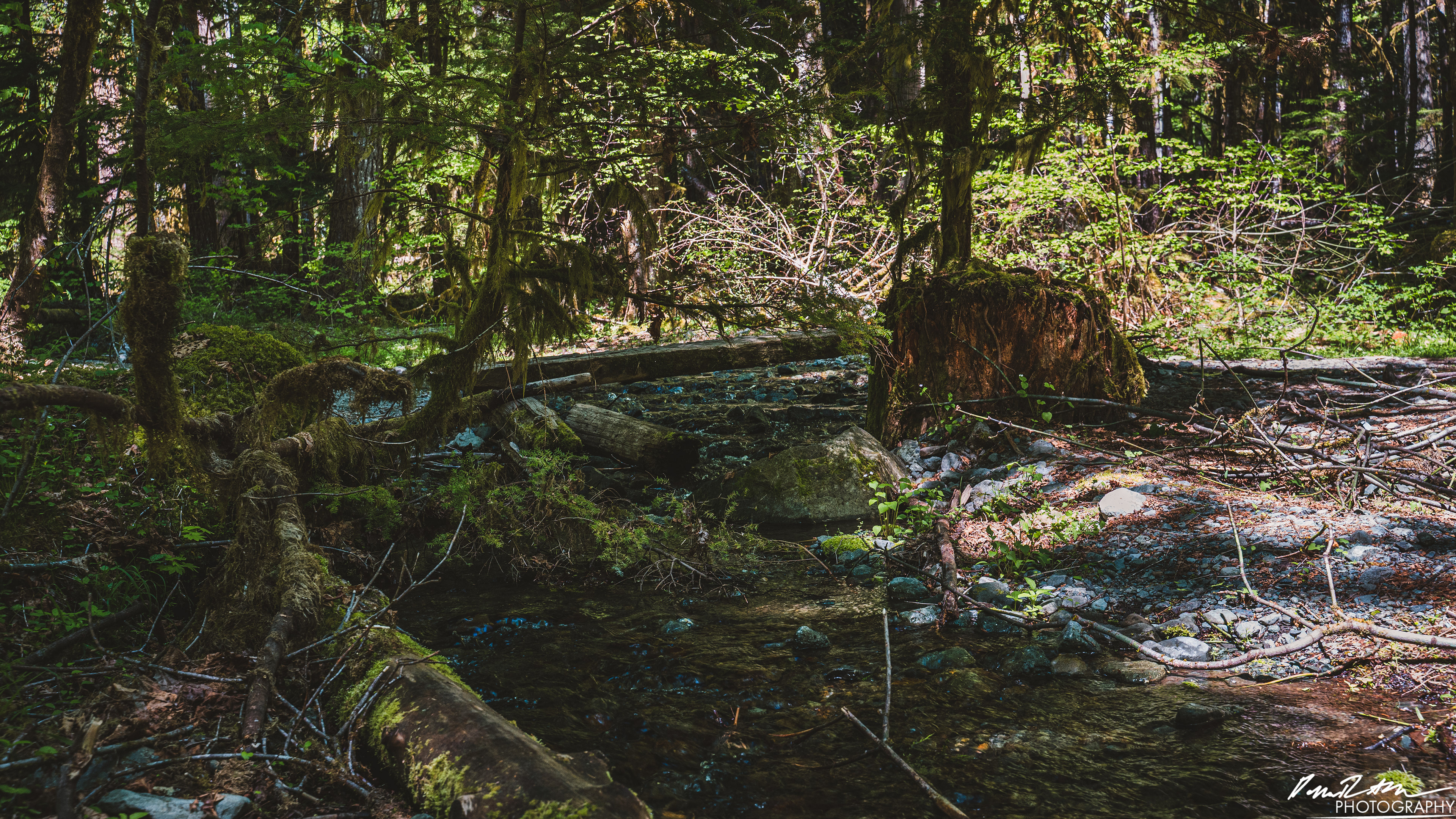 Rapids - Lake Cushman