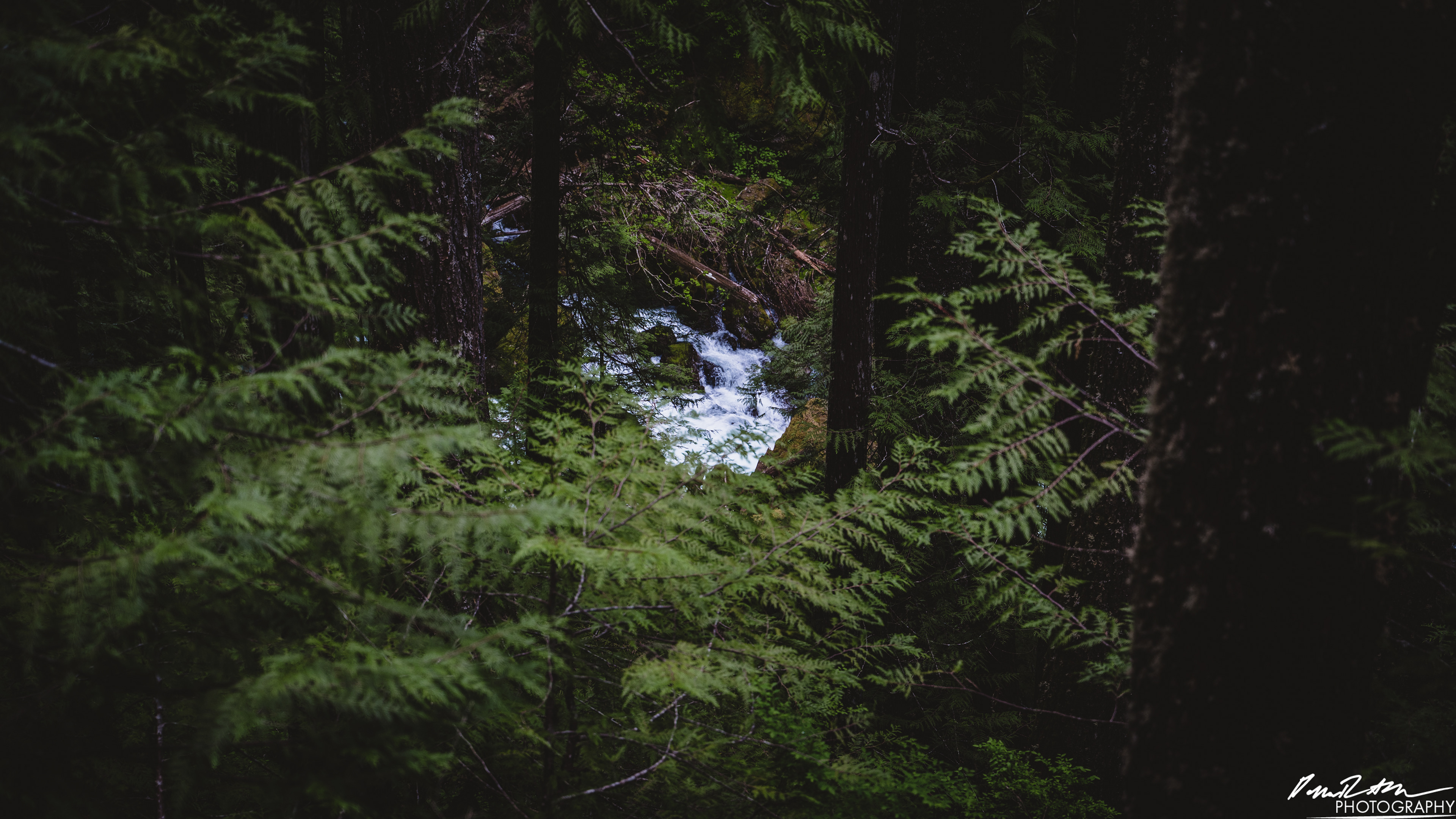 Snow Melt - Lena Lake