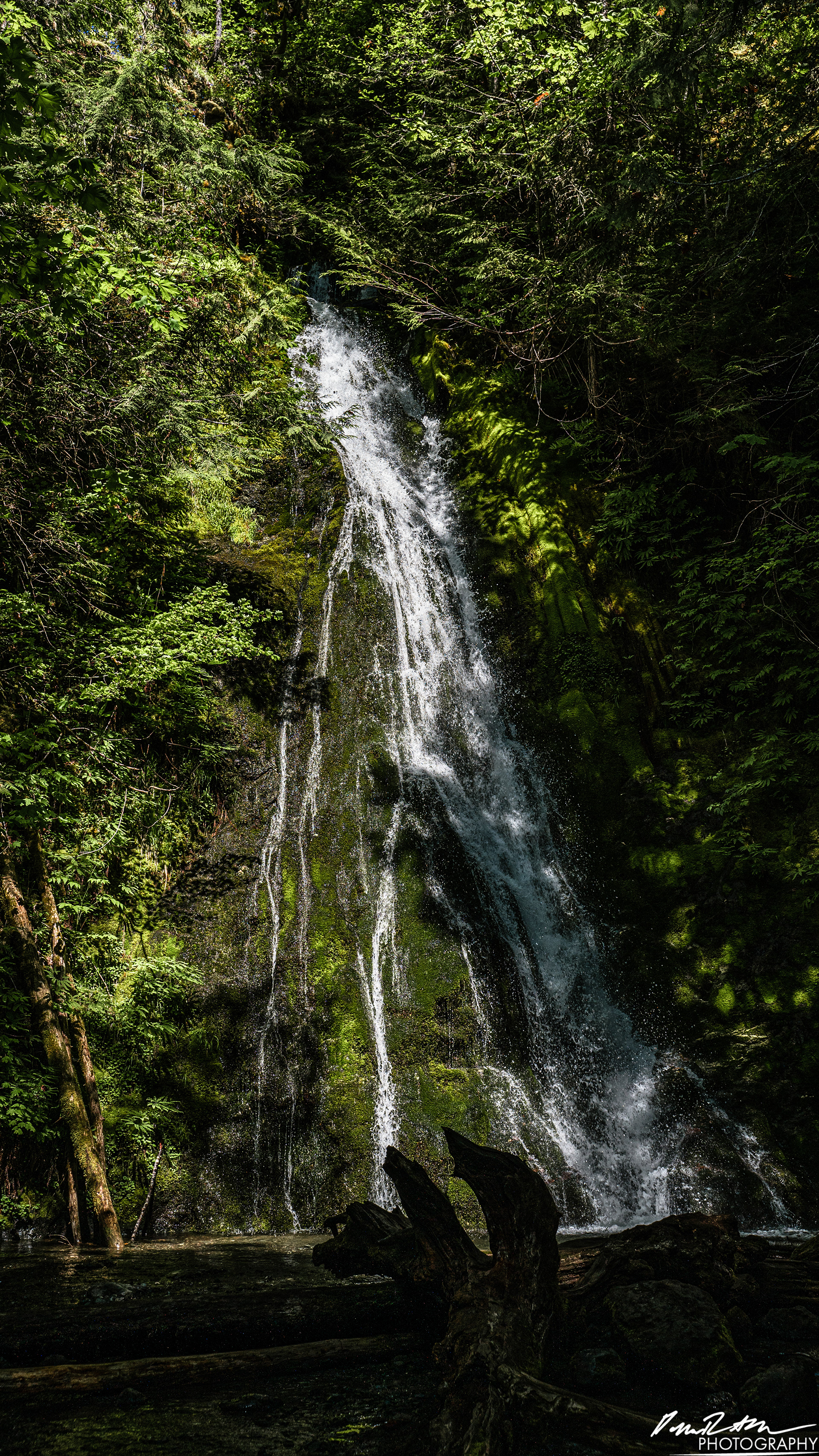 Hot Springs - Olympic National Park