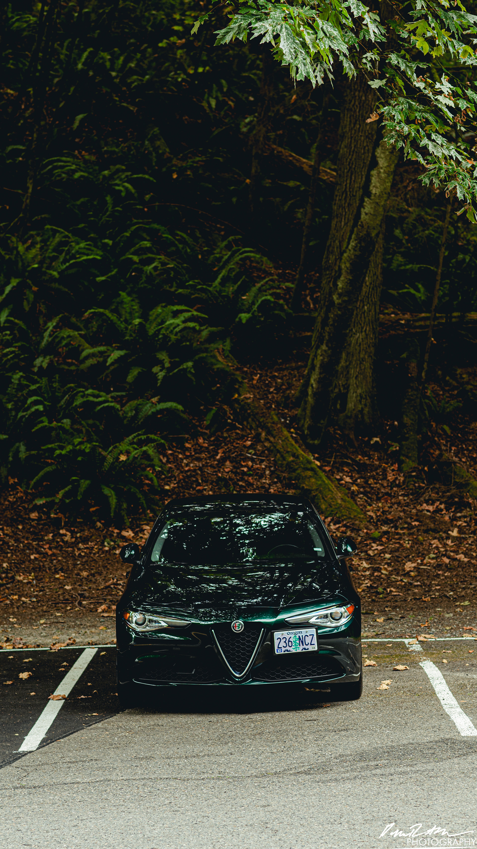 Green Machine - Tacoma WA