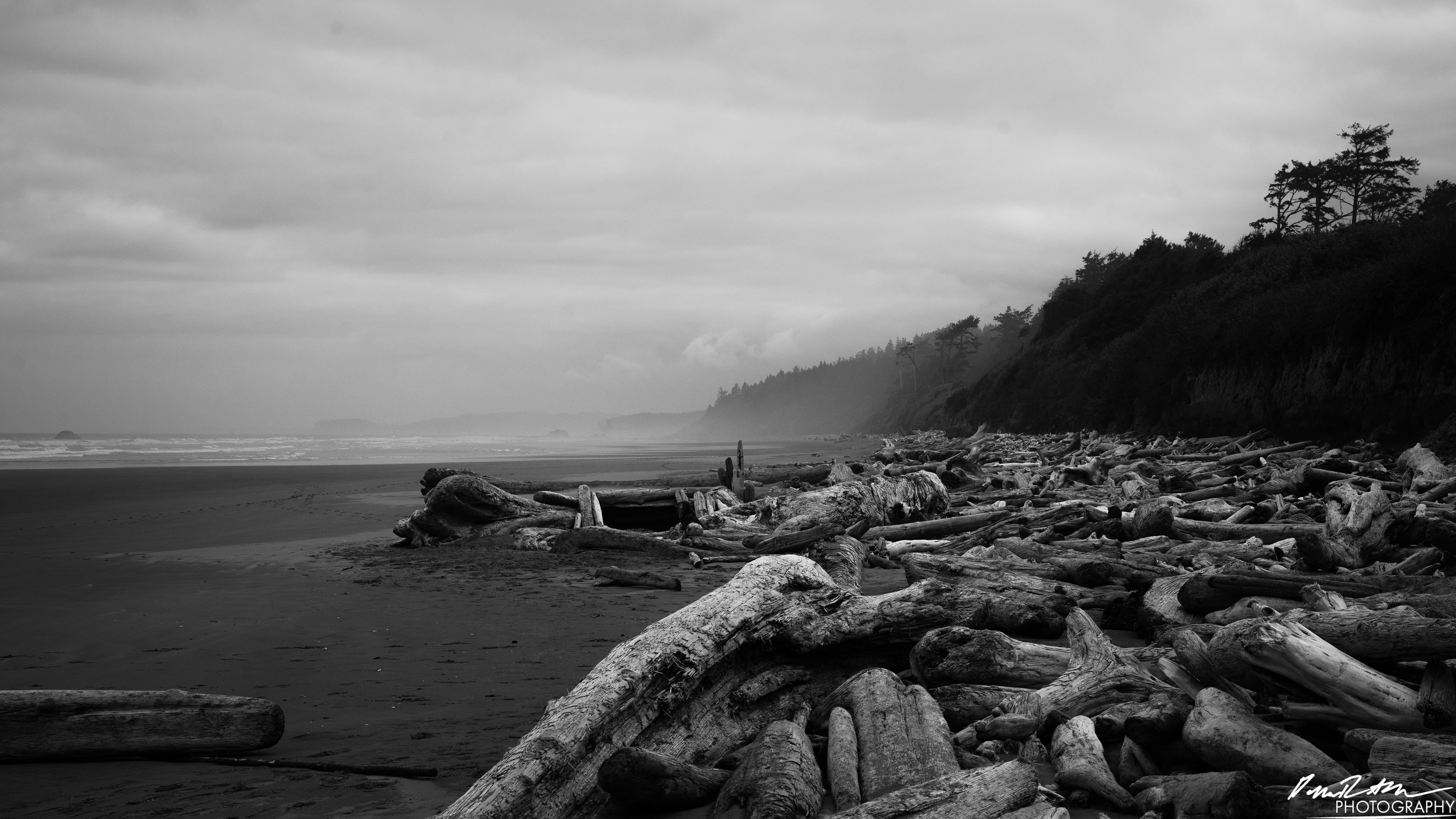 The Beach of Life - Kalaloch 