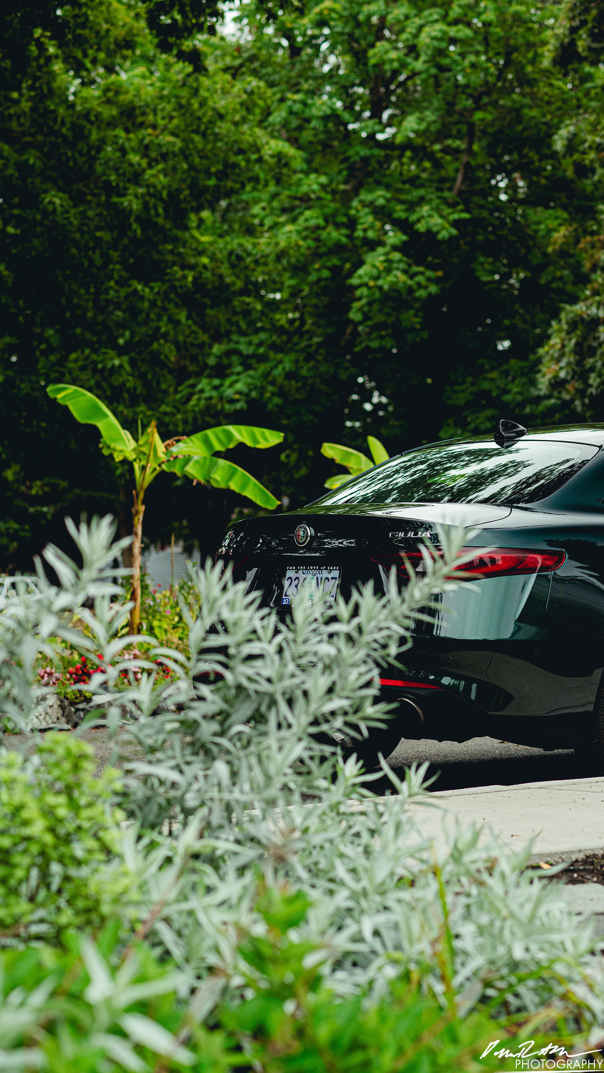 Green Machine - Tacoma WA