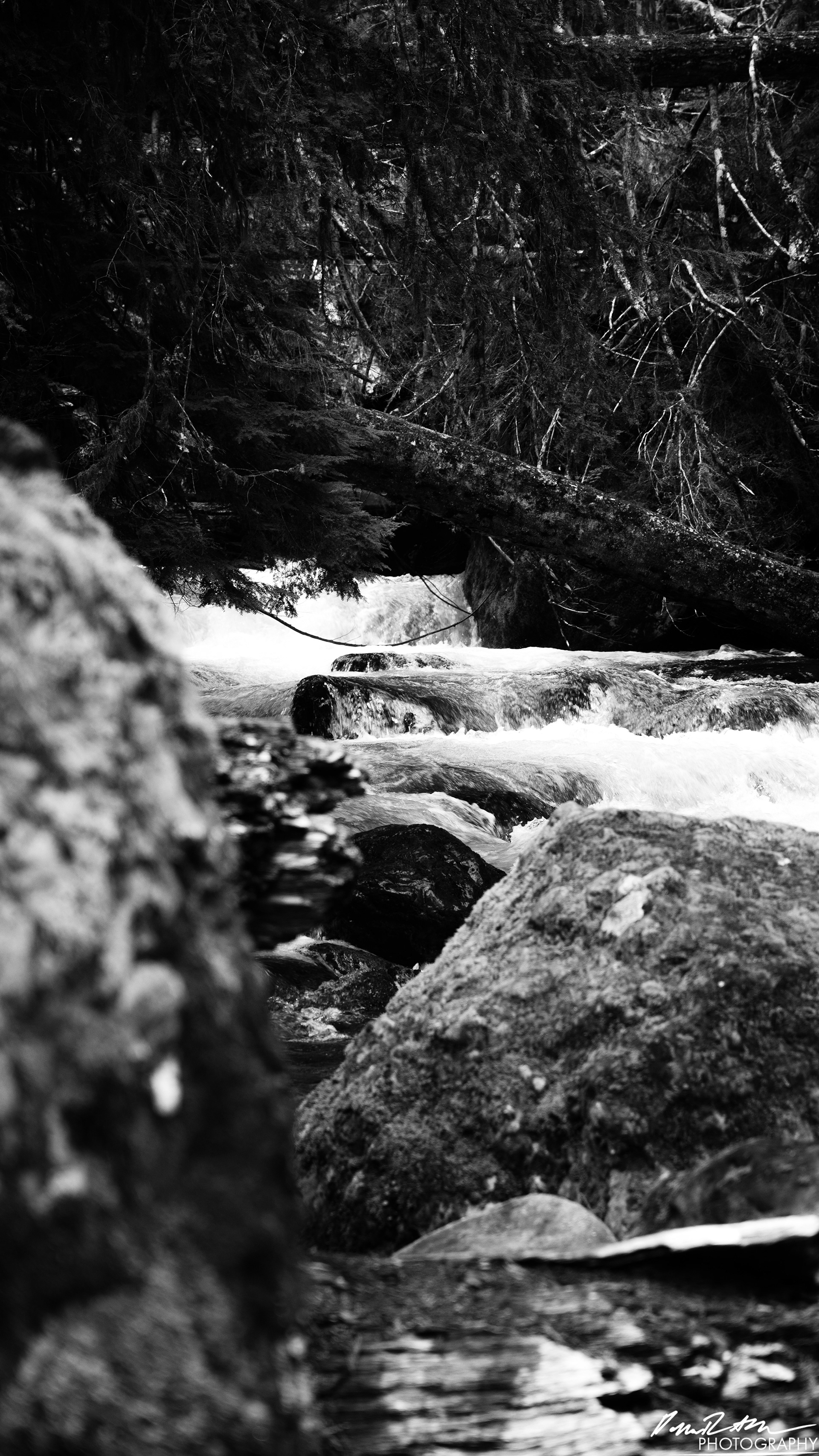 Snow Melt - Lena Lake