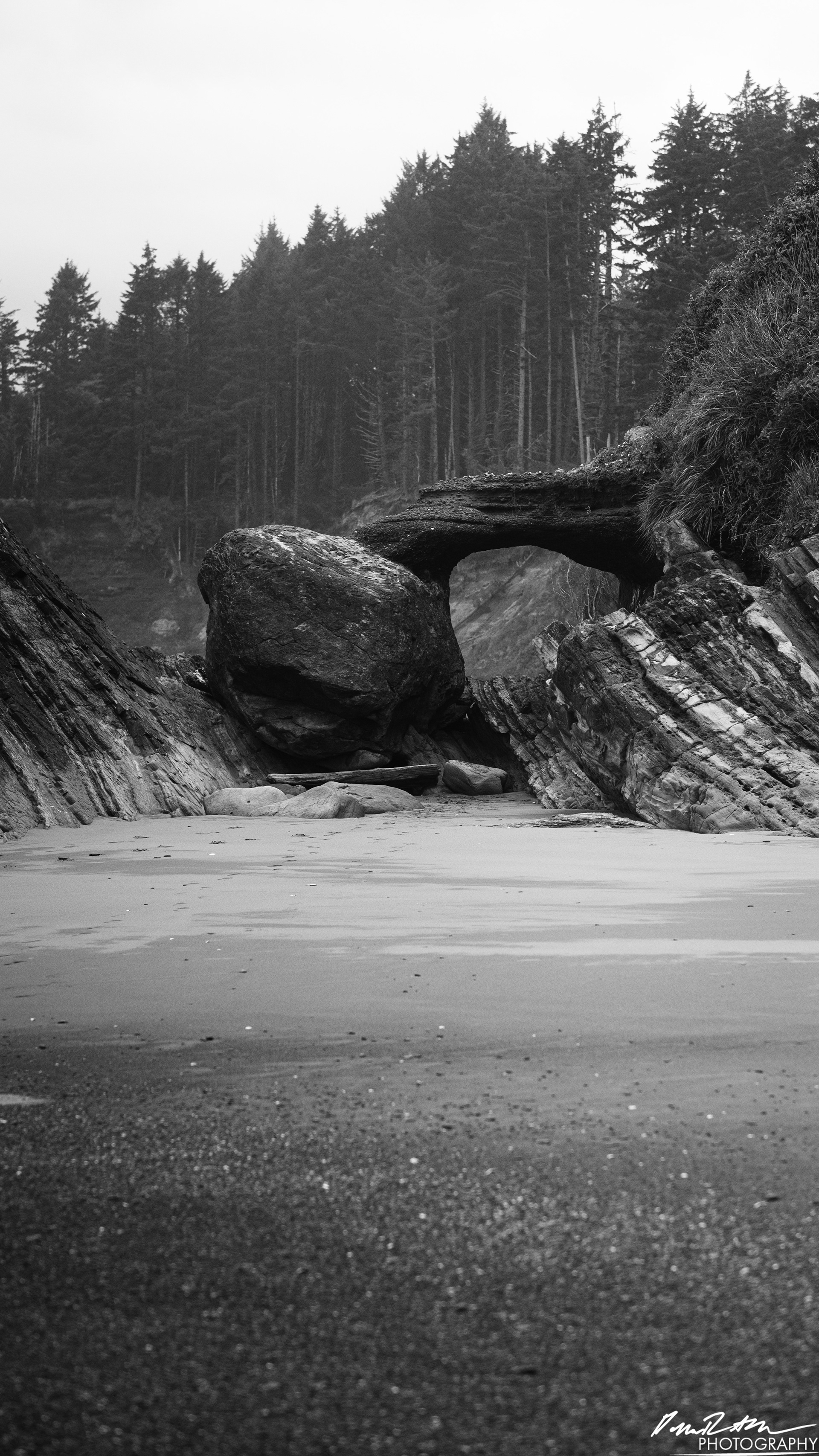 The Beach of Life - Kalaloch 