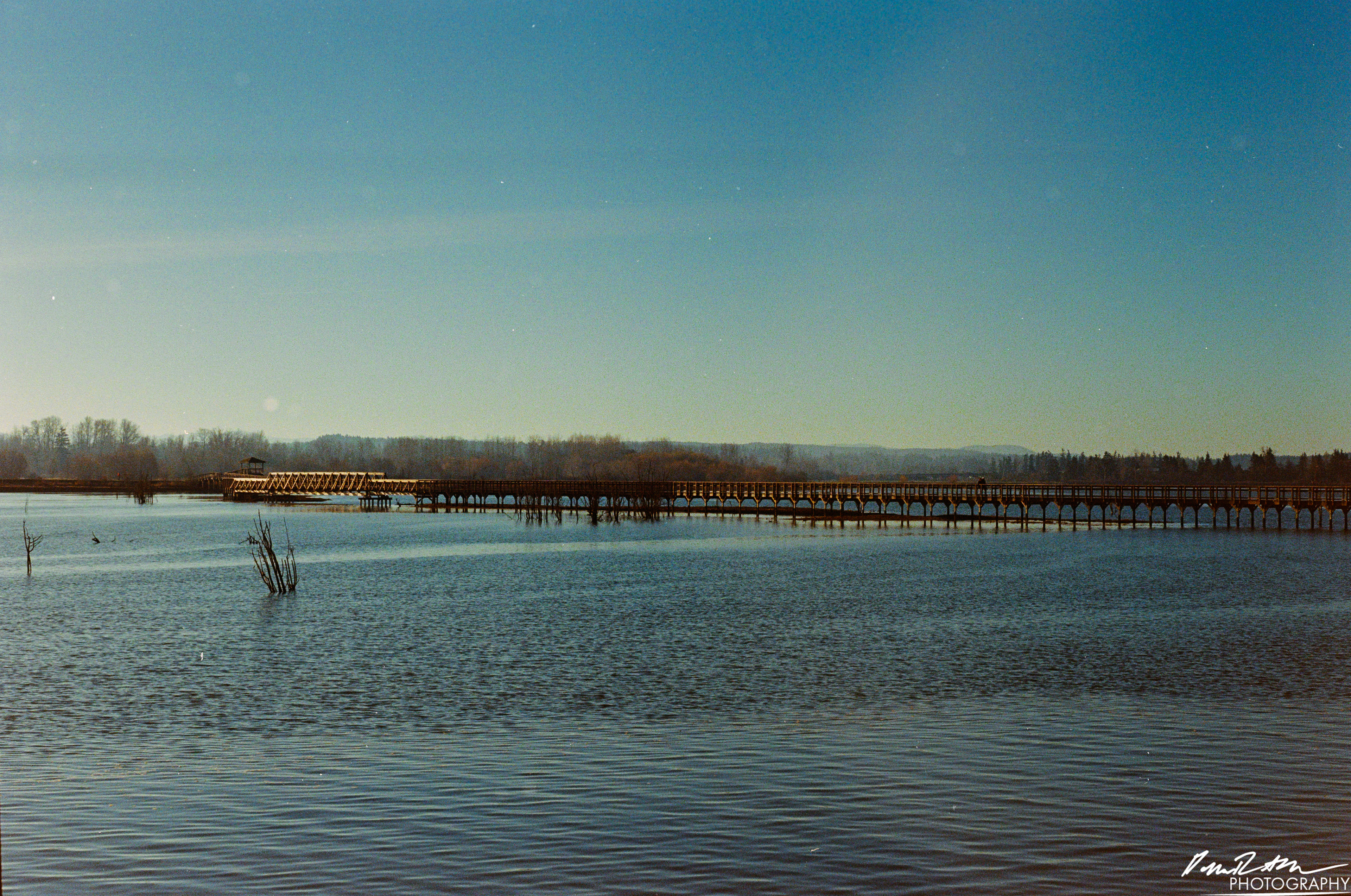 Fujifilm 400 - Nisqually Wildlife Preserve WA