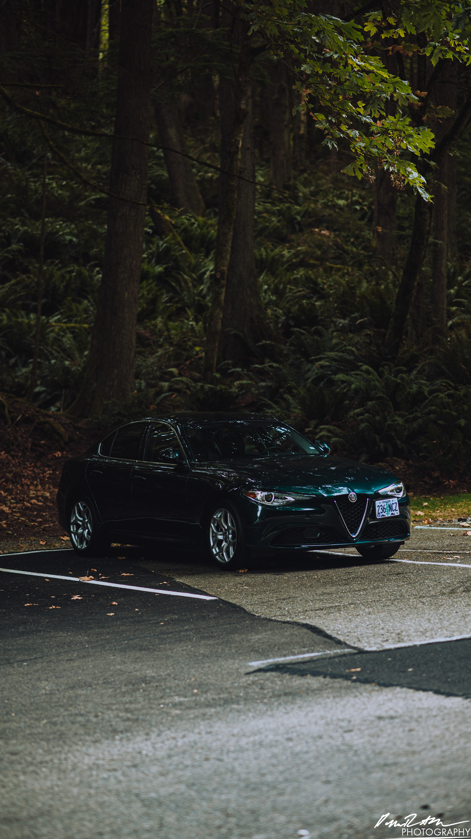 Green Machine - Tacoma WA