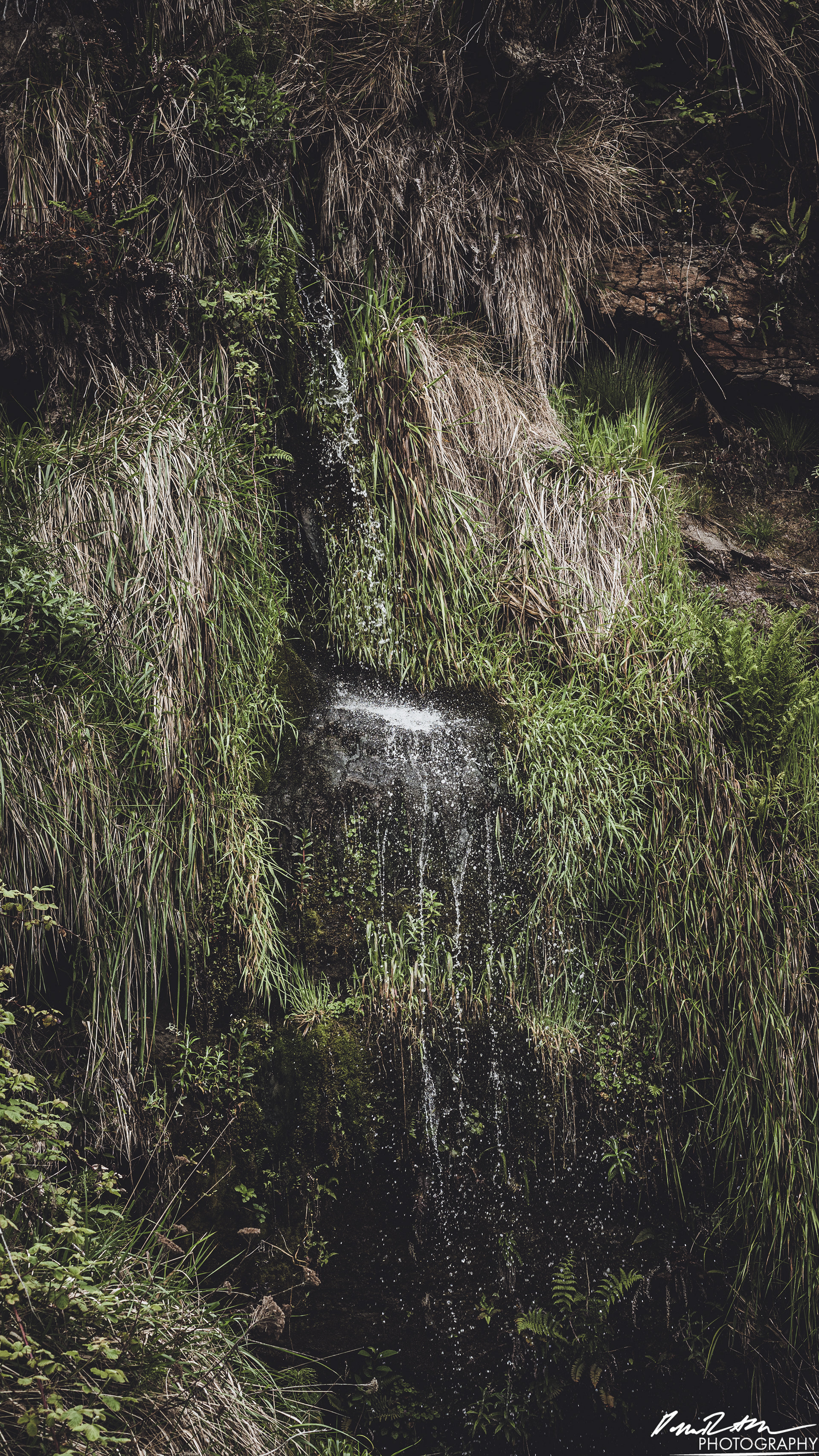The Beach of Life - Kalaloch 