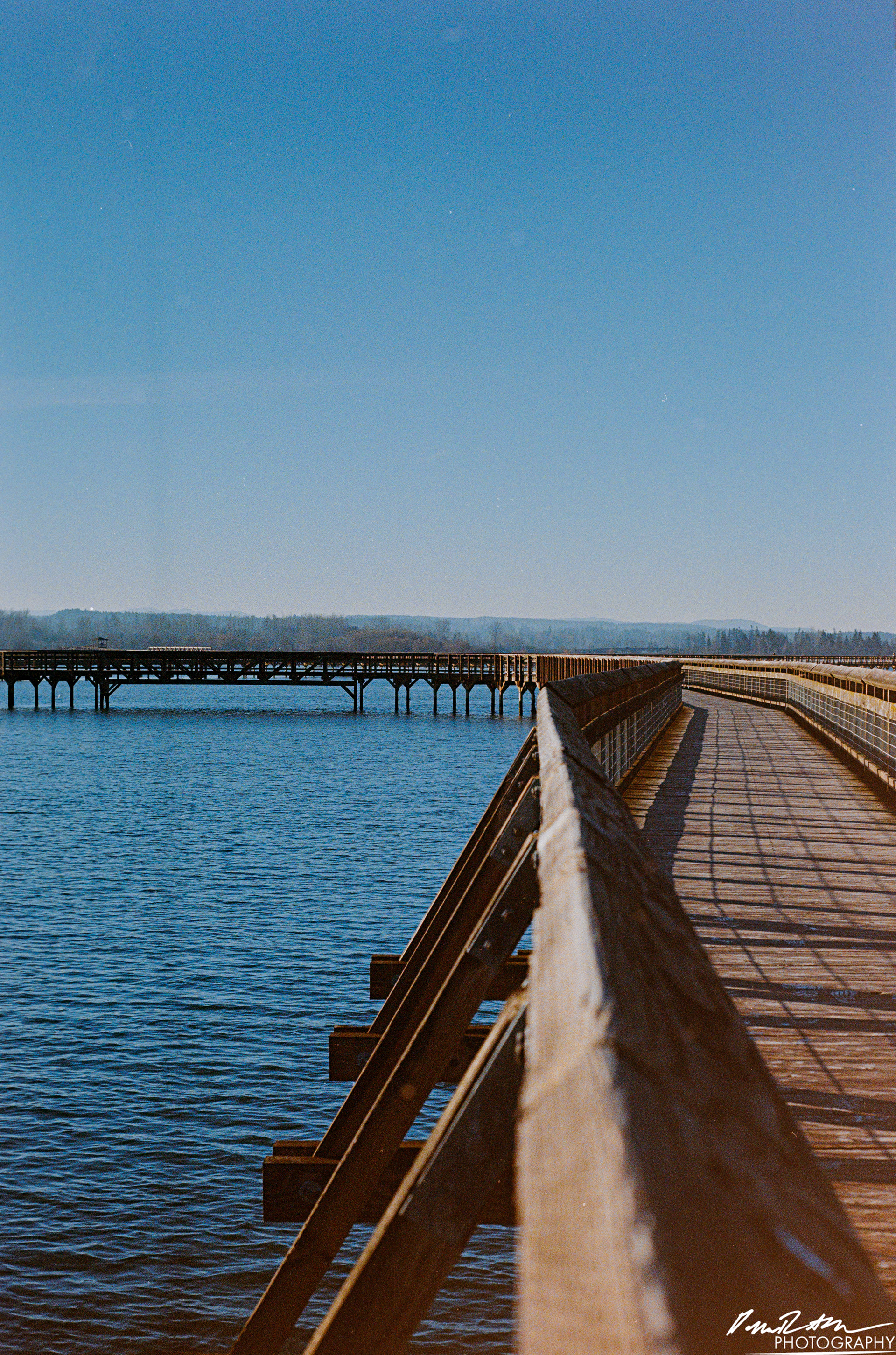Fujifilm 400 - Nisqually Wildlife Preserve WA